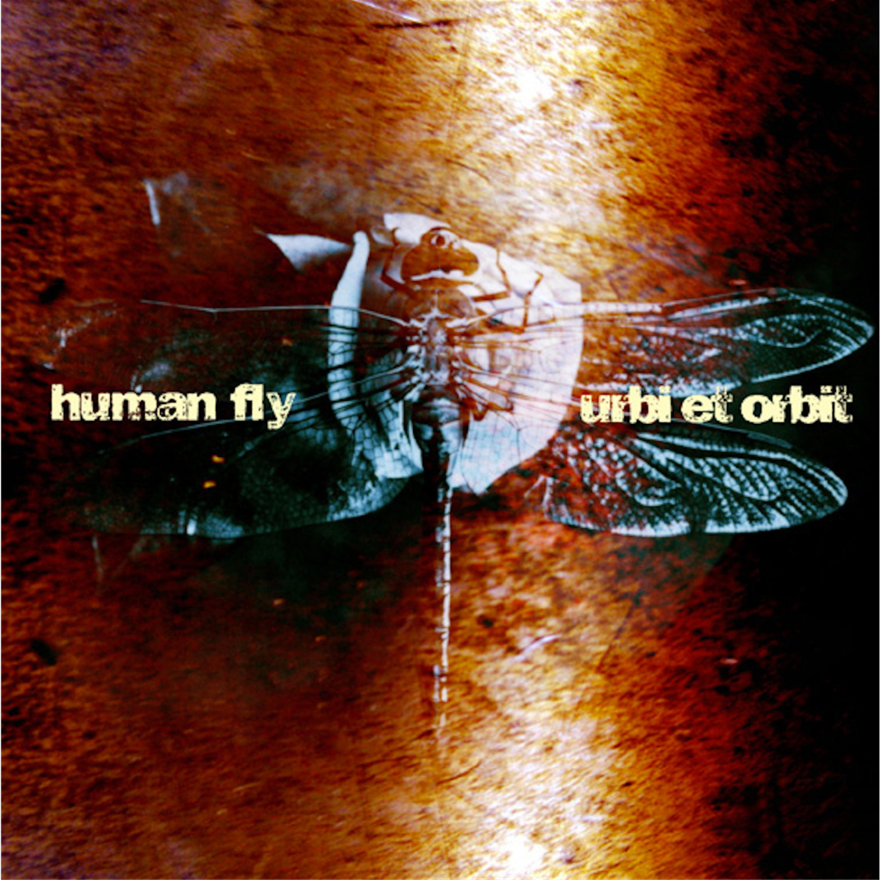 Human Fly