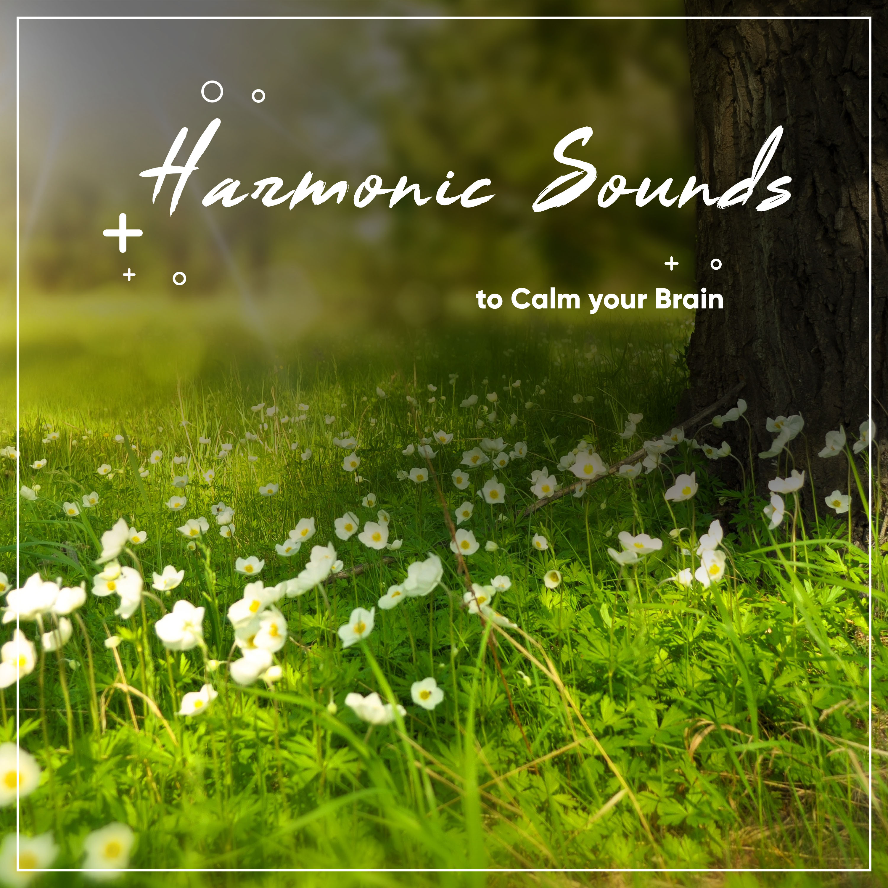 #12 Harmonic Sounds to Calm your Brain