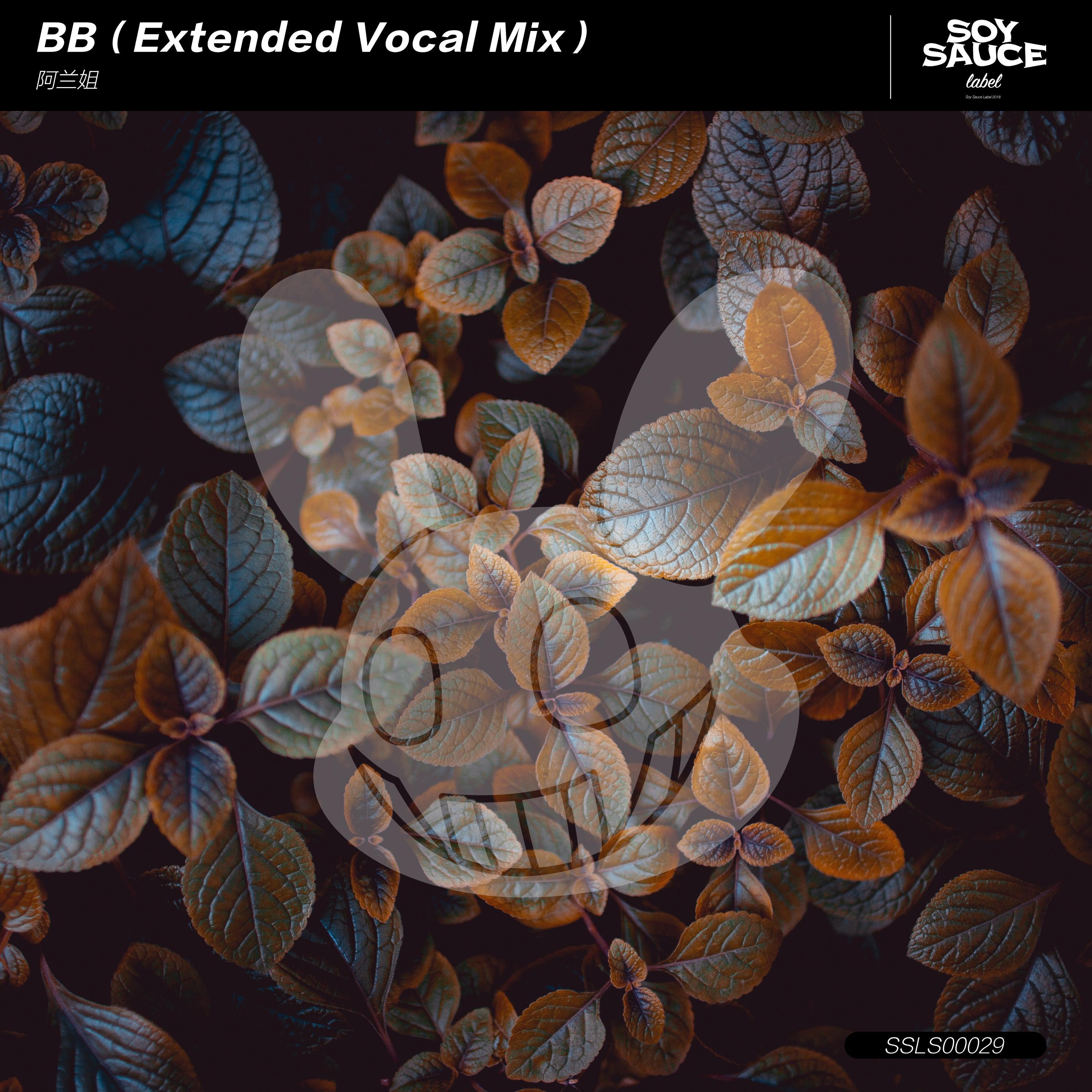 BB Extended Vocal Mix