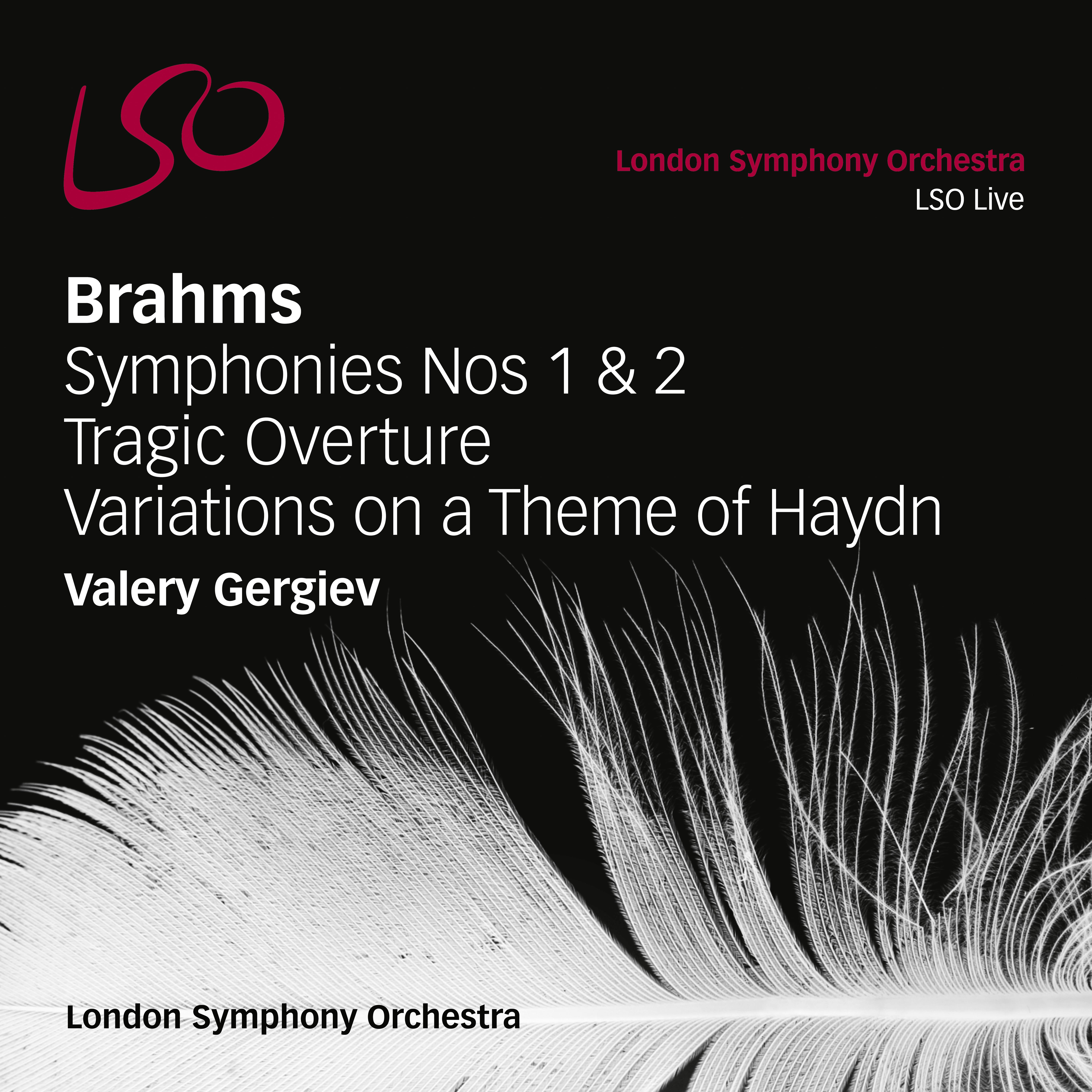 Variations on a Theme of Haydn, Op. 56a: X. Finale, Andante