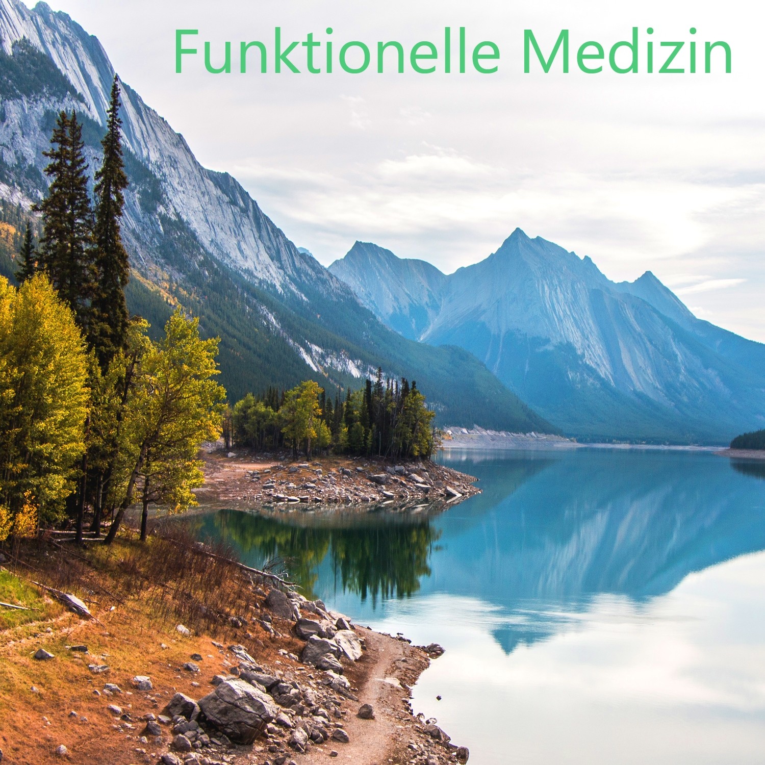 Funktionelle Medizin