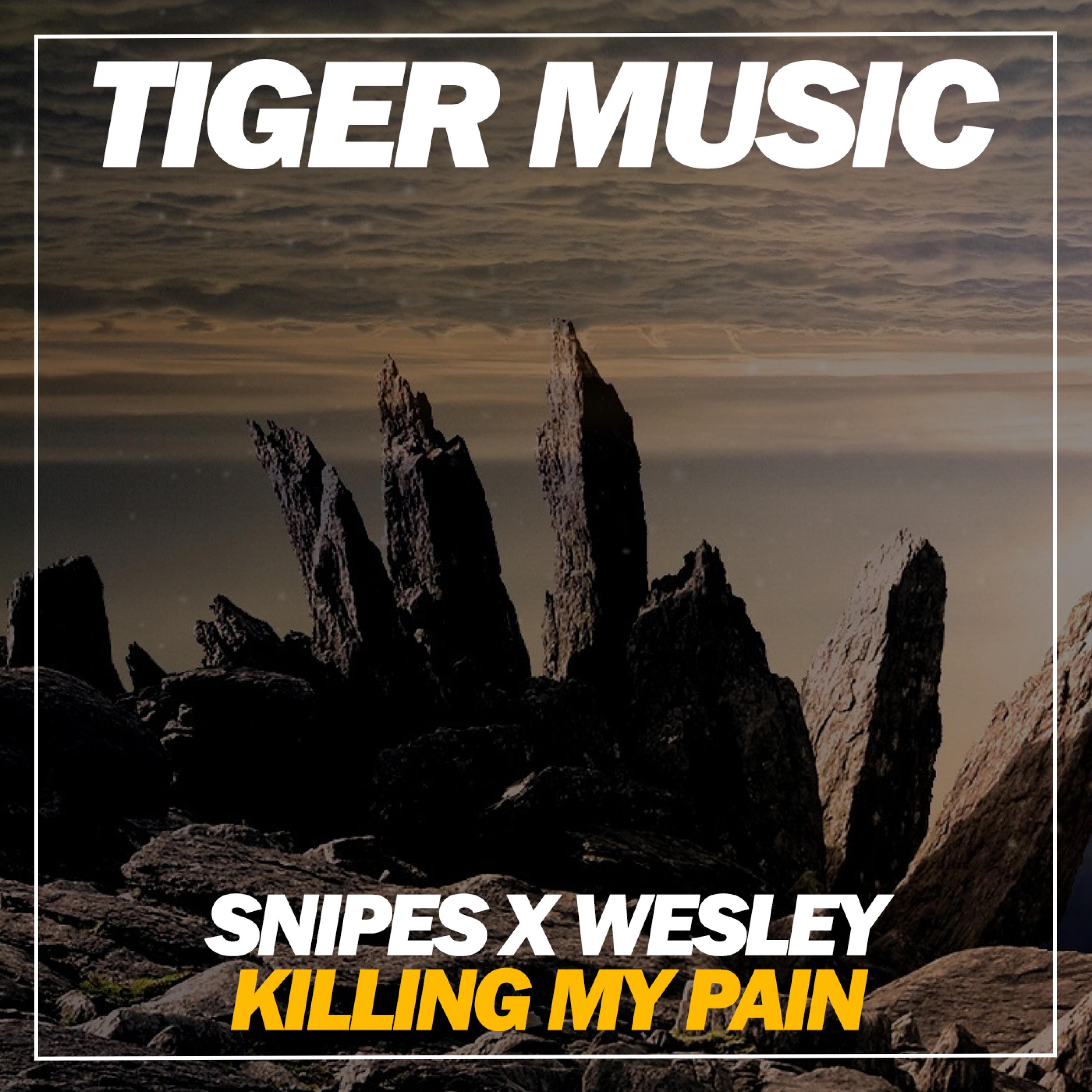 Killing My Pain (Original Mix)