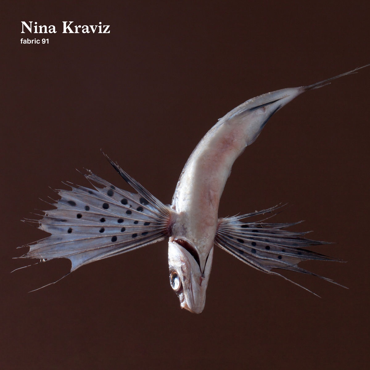fabric 91: Nina Kraviz (Continuous DJ Mix)