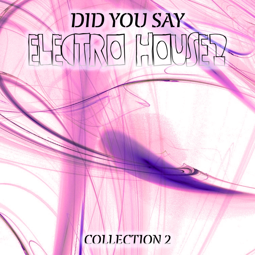 Did You Say Electro House? Collection 2