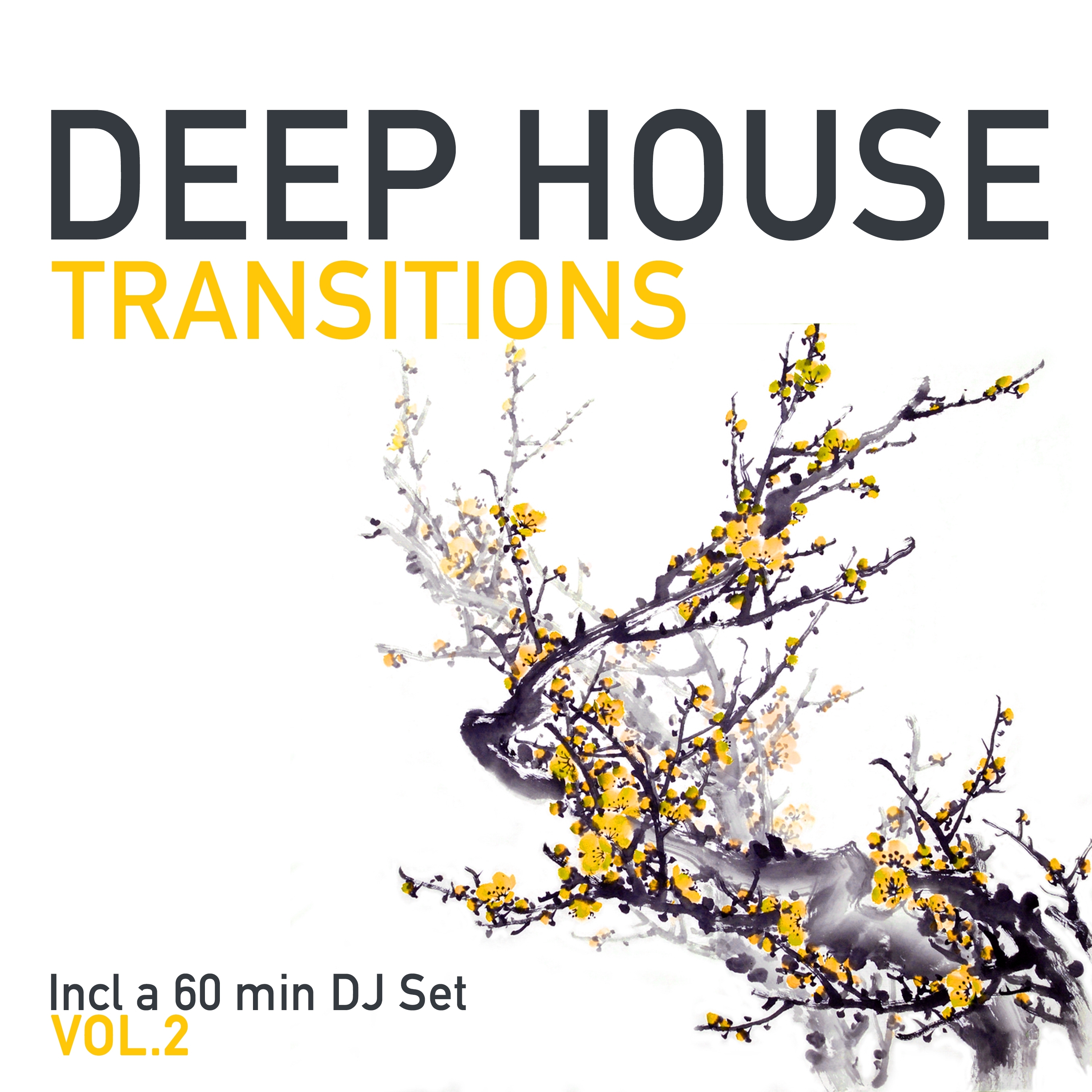 Deep House Transitions, Vol. 2