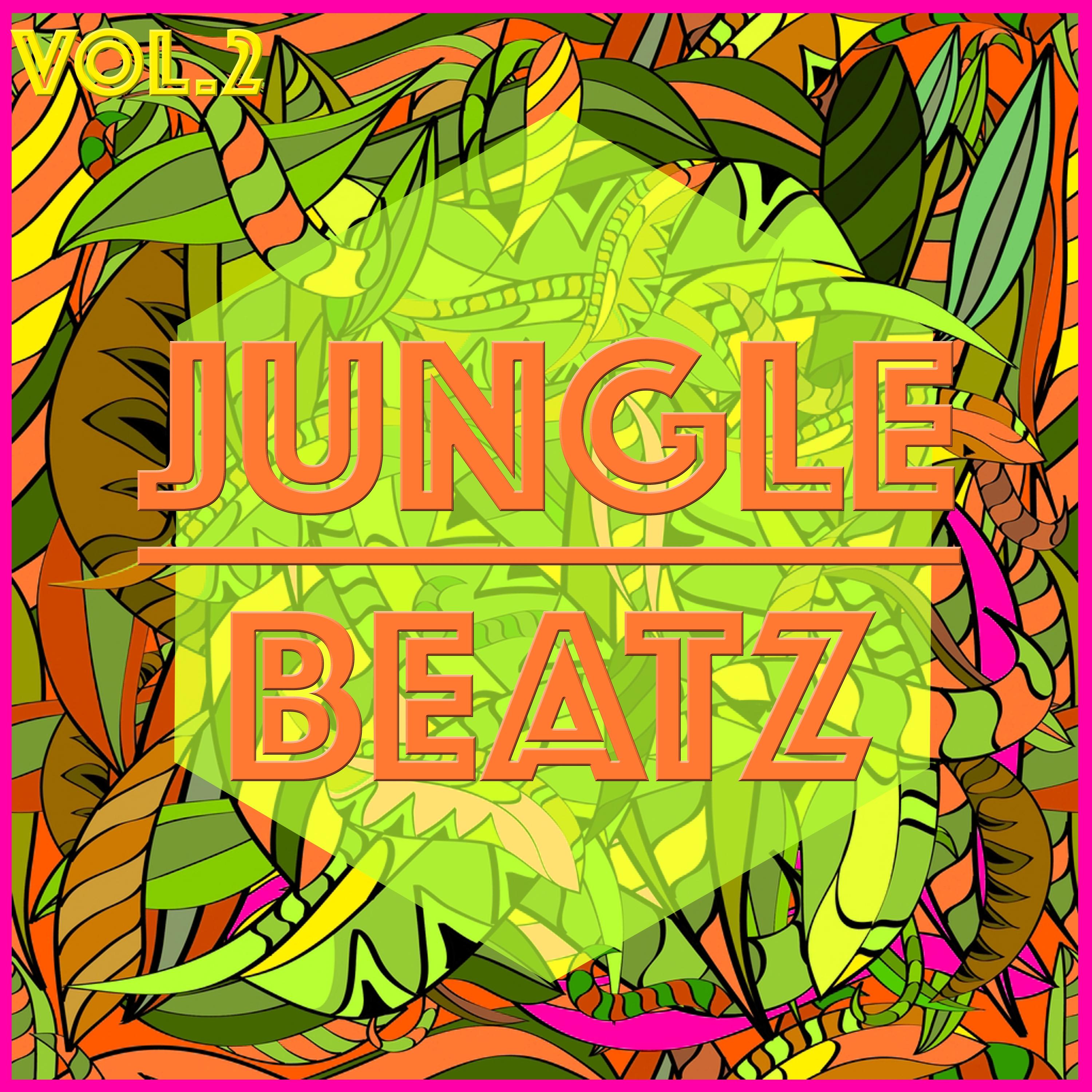 Jungle Beatz, Vol. 2 - Selection of Tech House
