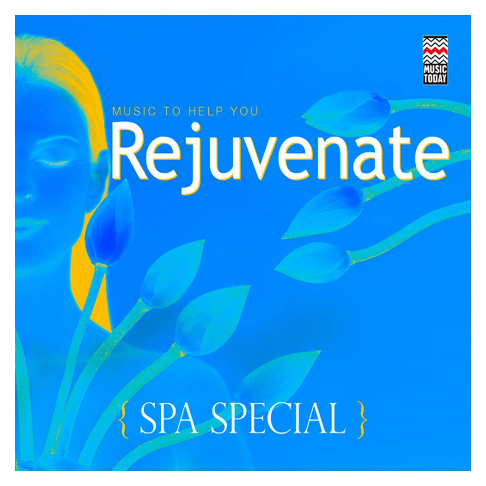 Spa Special - Music to Help You Rejuvenate