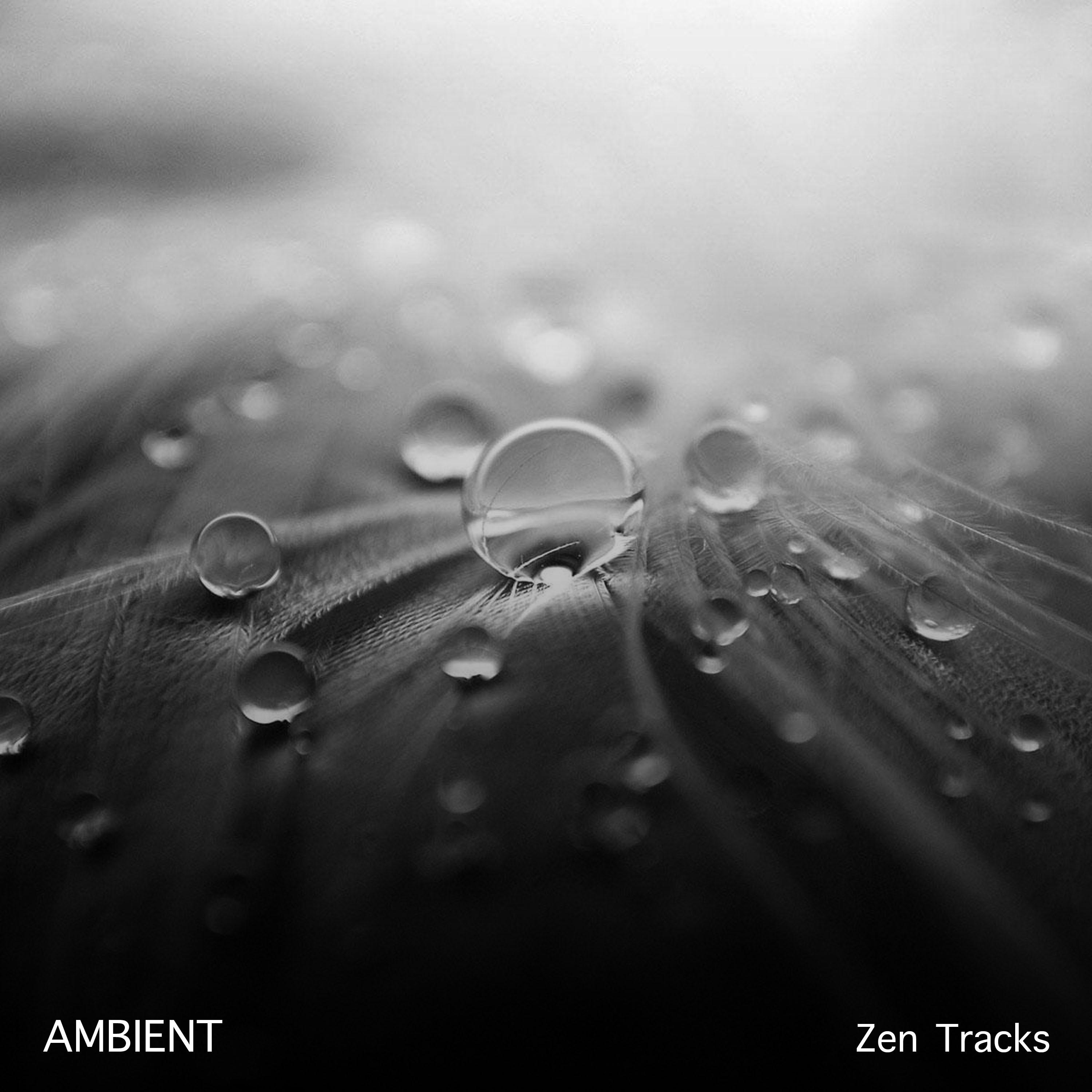 15 Ambient Zen Tracks