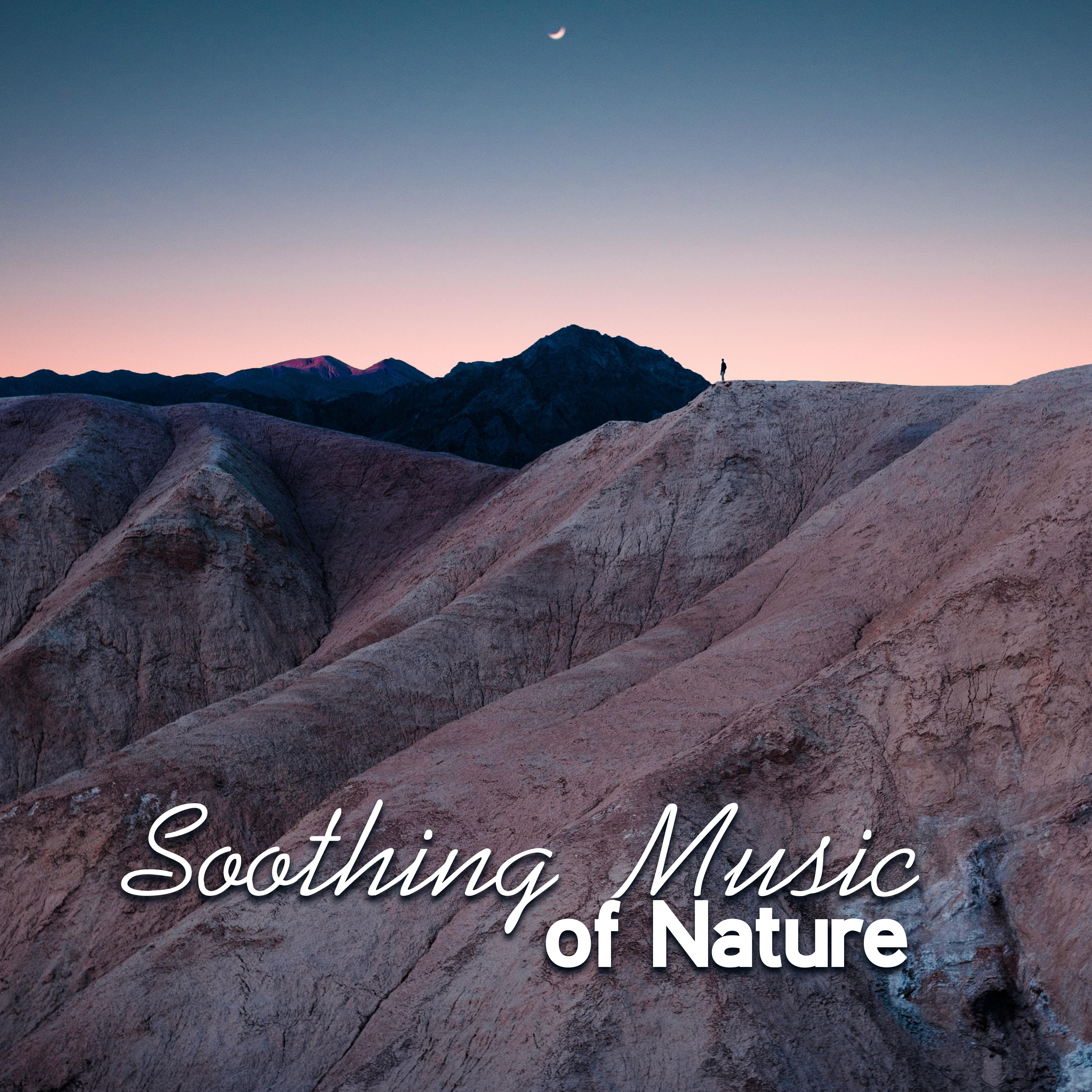 Soothing Music of Nature