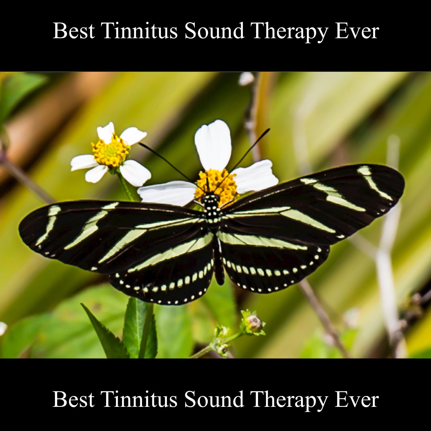 Best Tinnitus Sound Therapy Ever