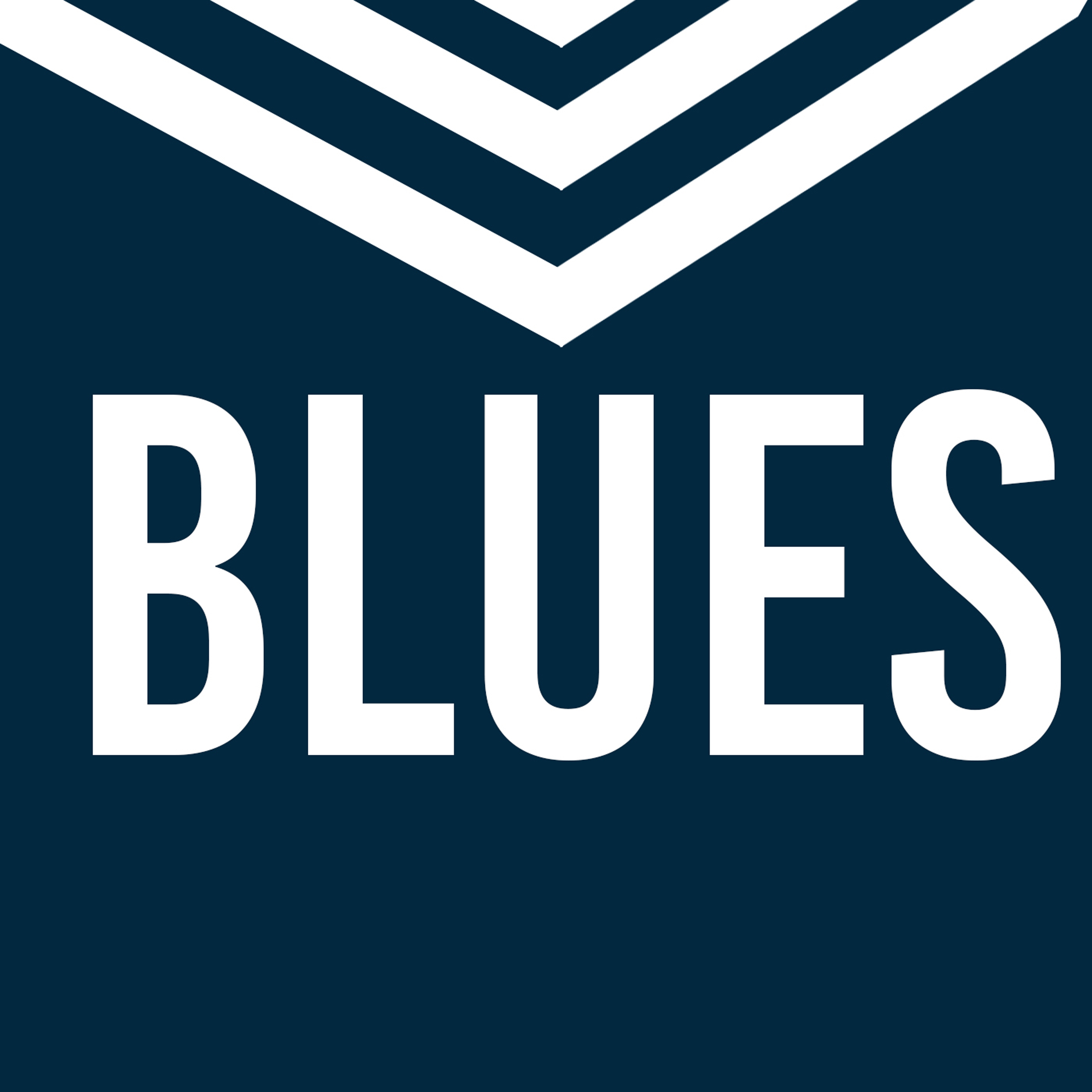 Carlton Blues Football Club