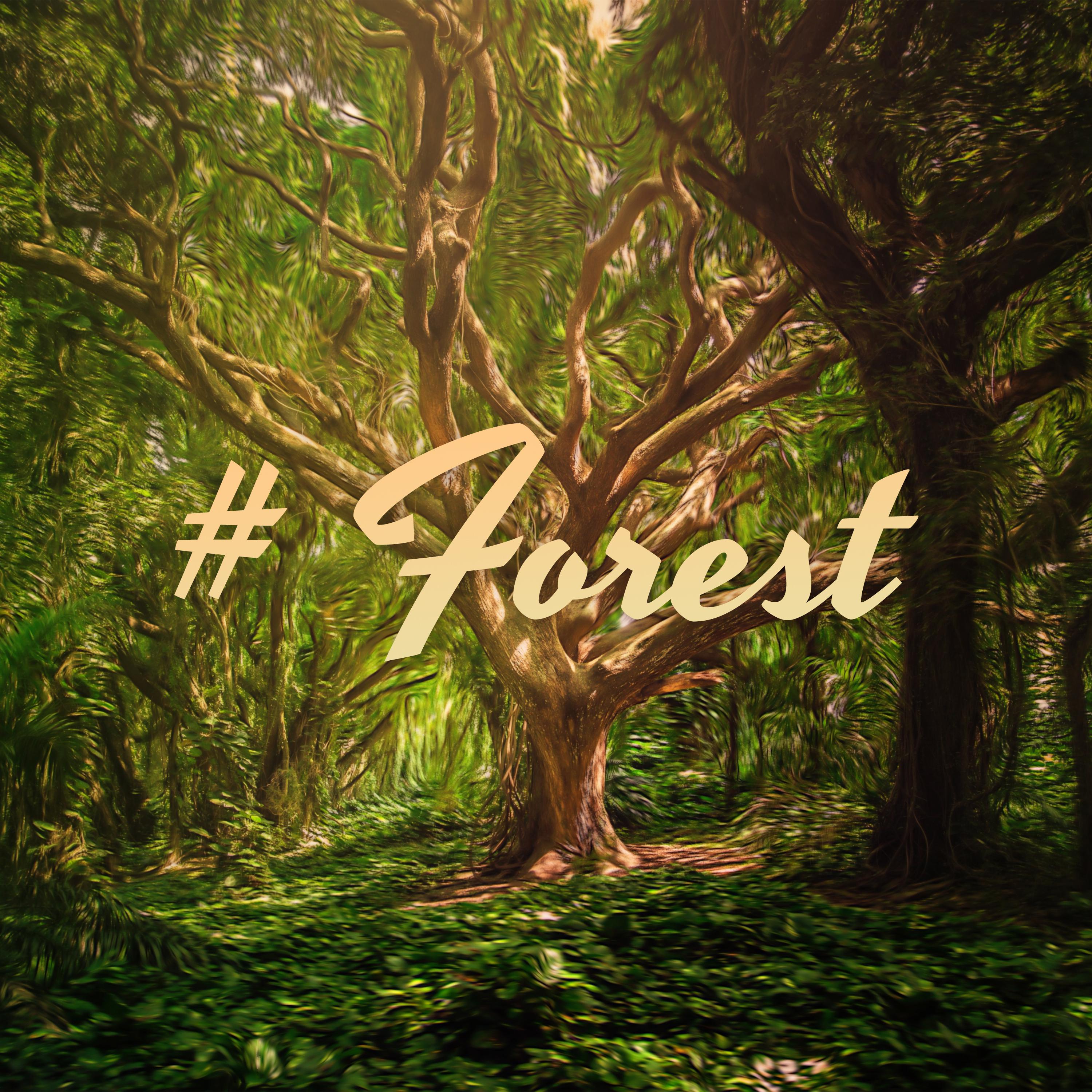 # Forest