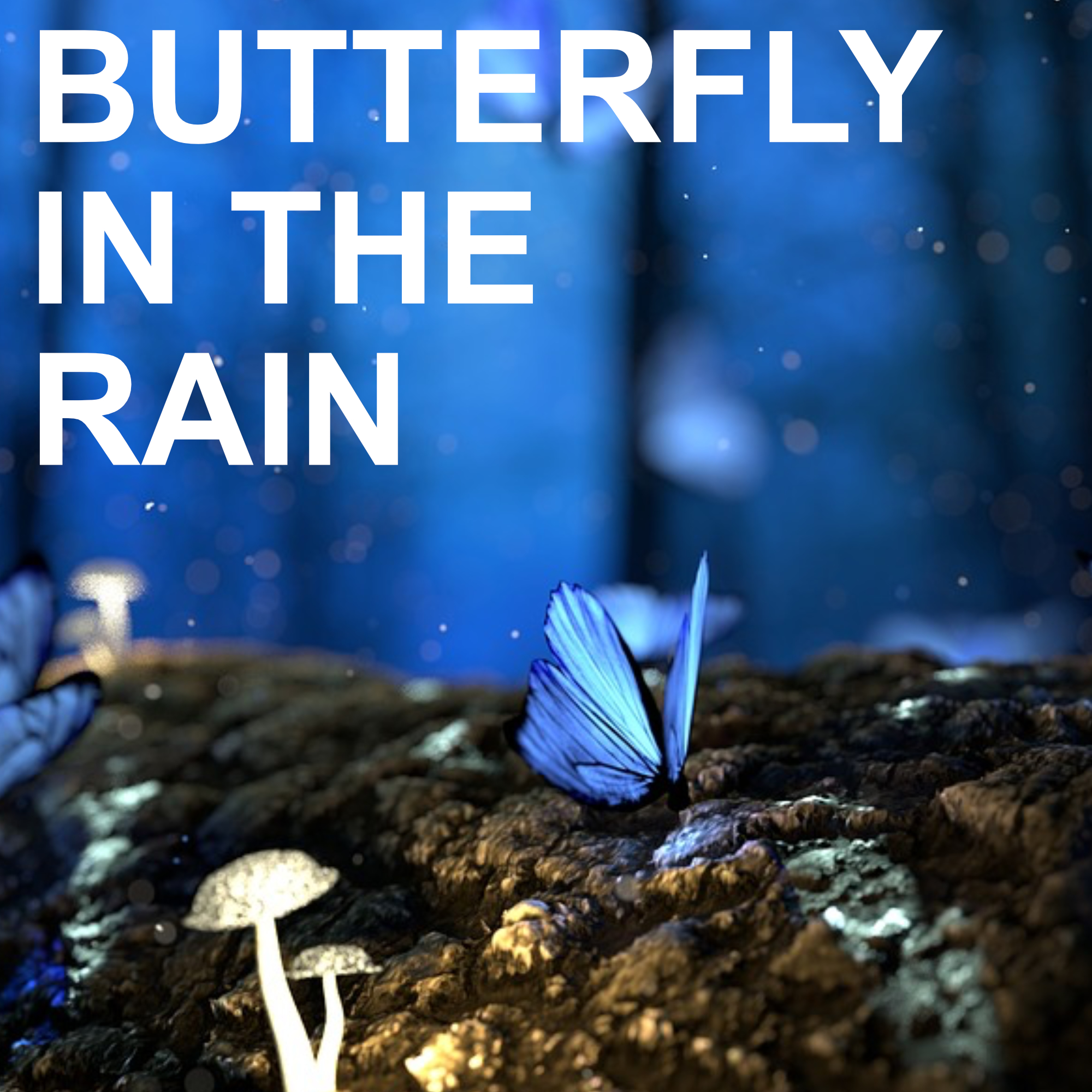 Butterfly in the Rain