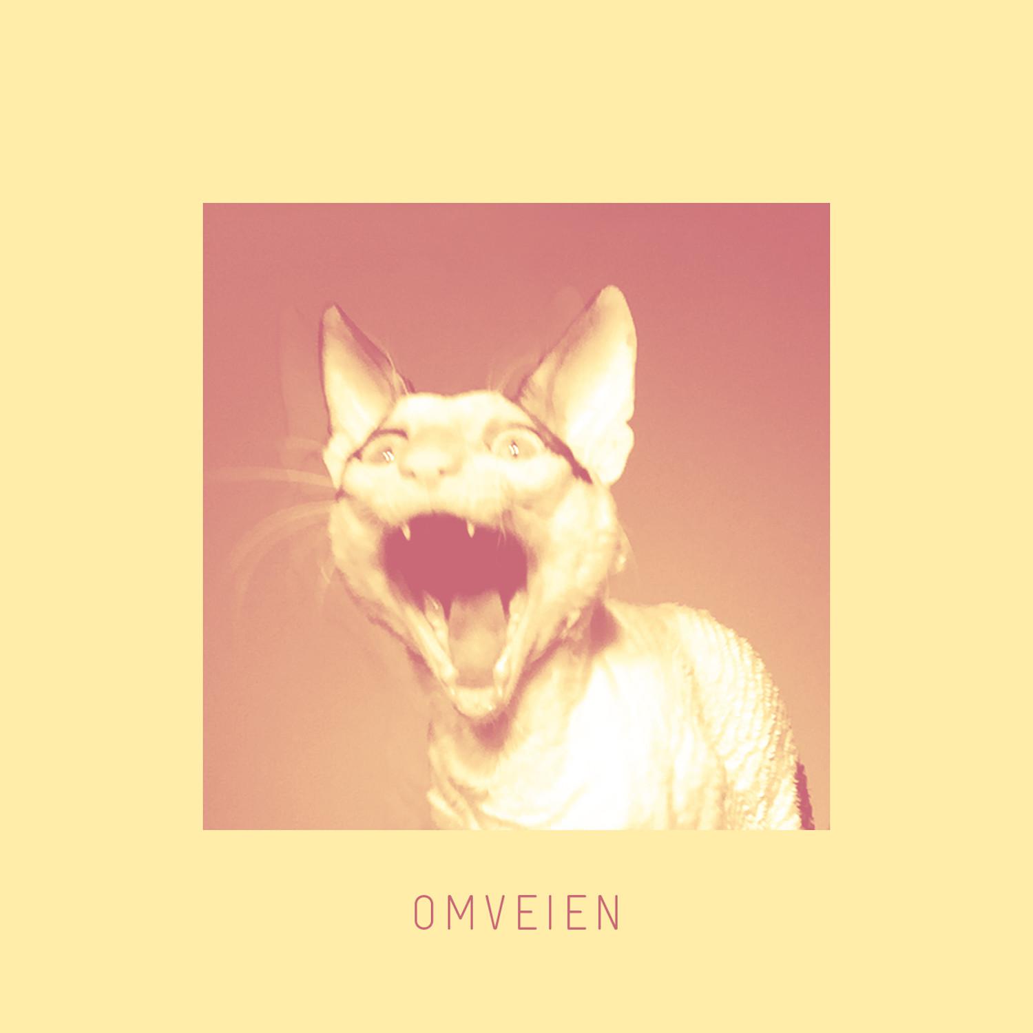 Omveien (Radio Edit)