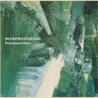 Stromatolites