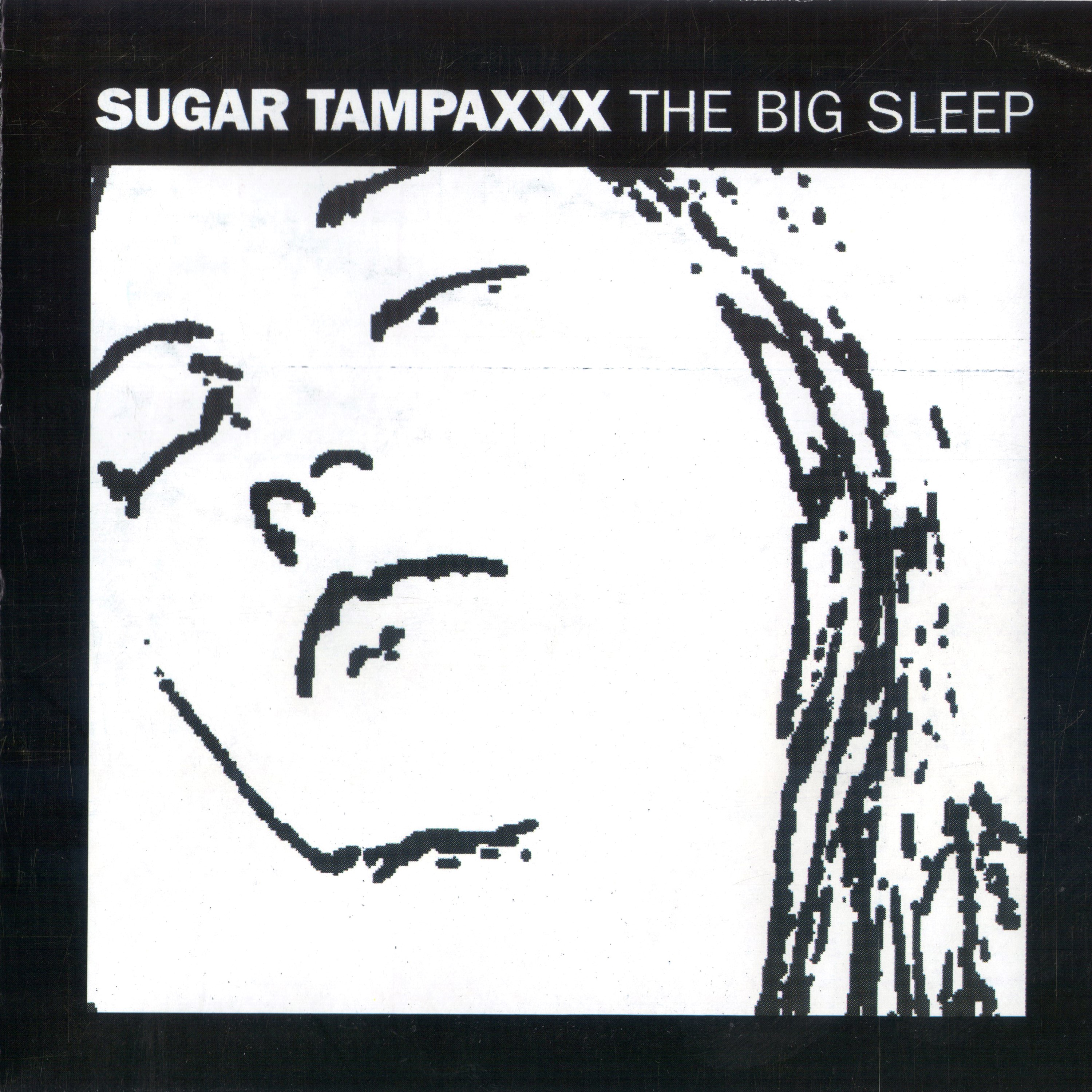 The Big Sleep