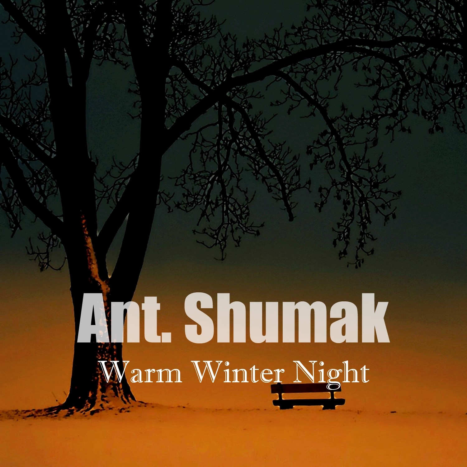 Warm Winter Night