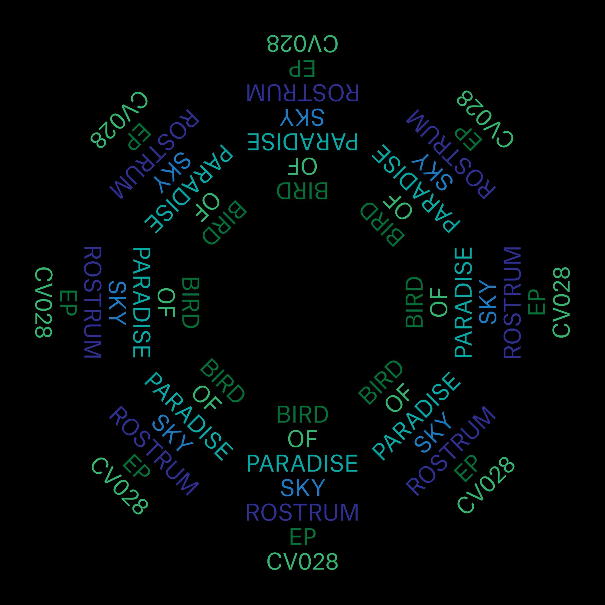 Sky Rostrum EP