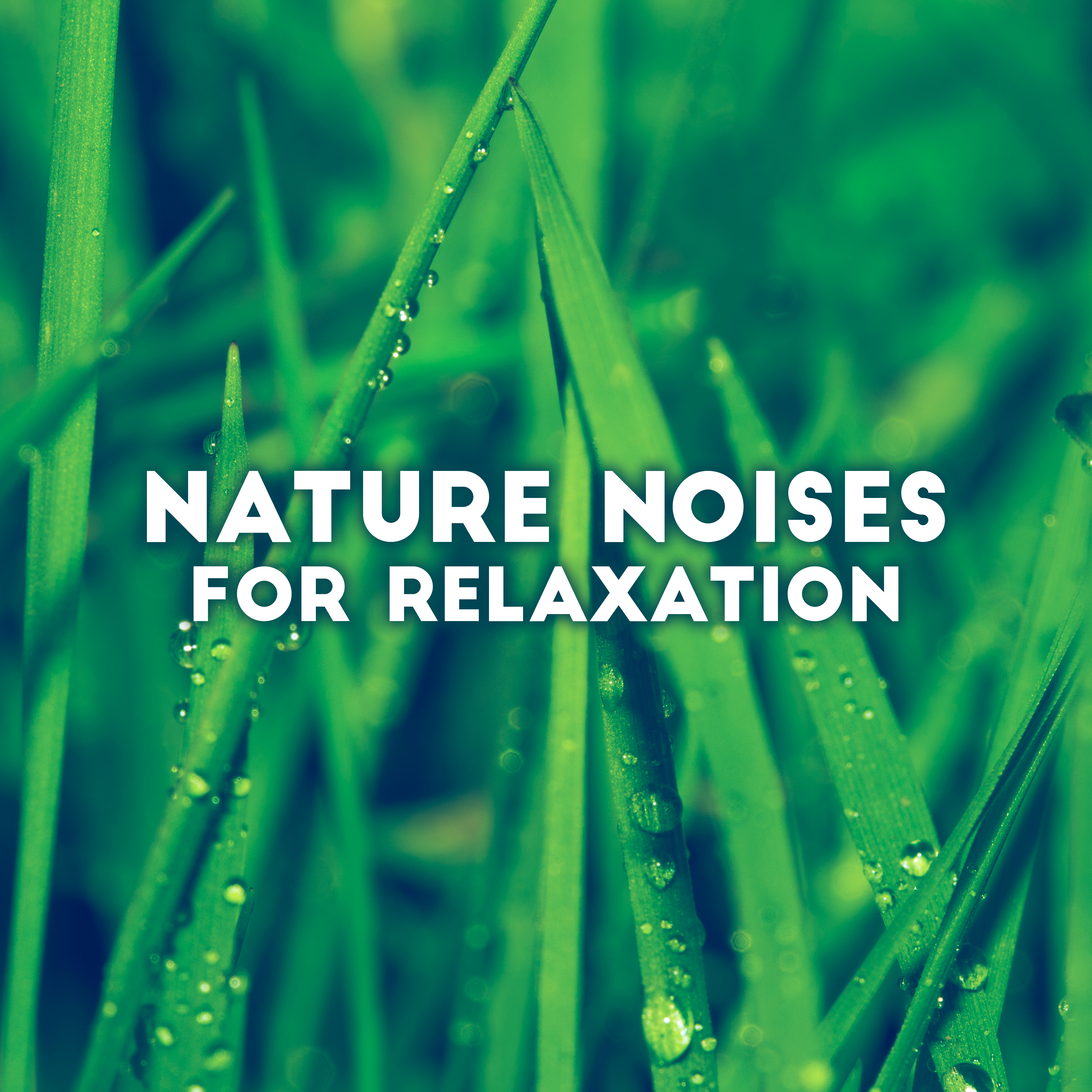 Nature Noises for Relaxation