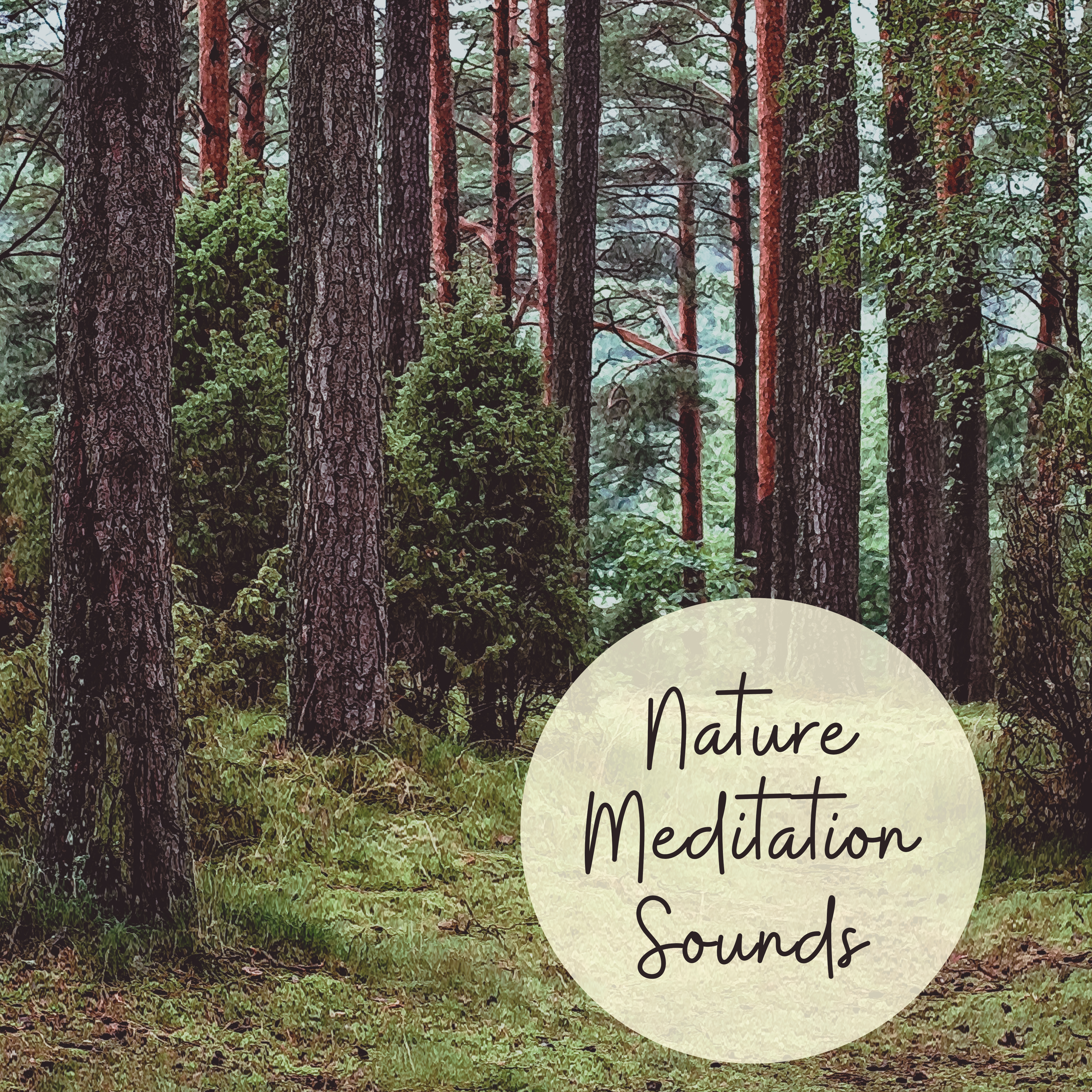 Nature Meditation Sounds