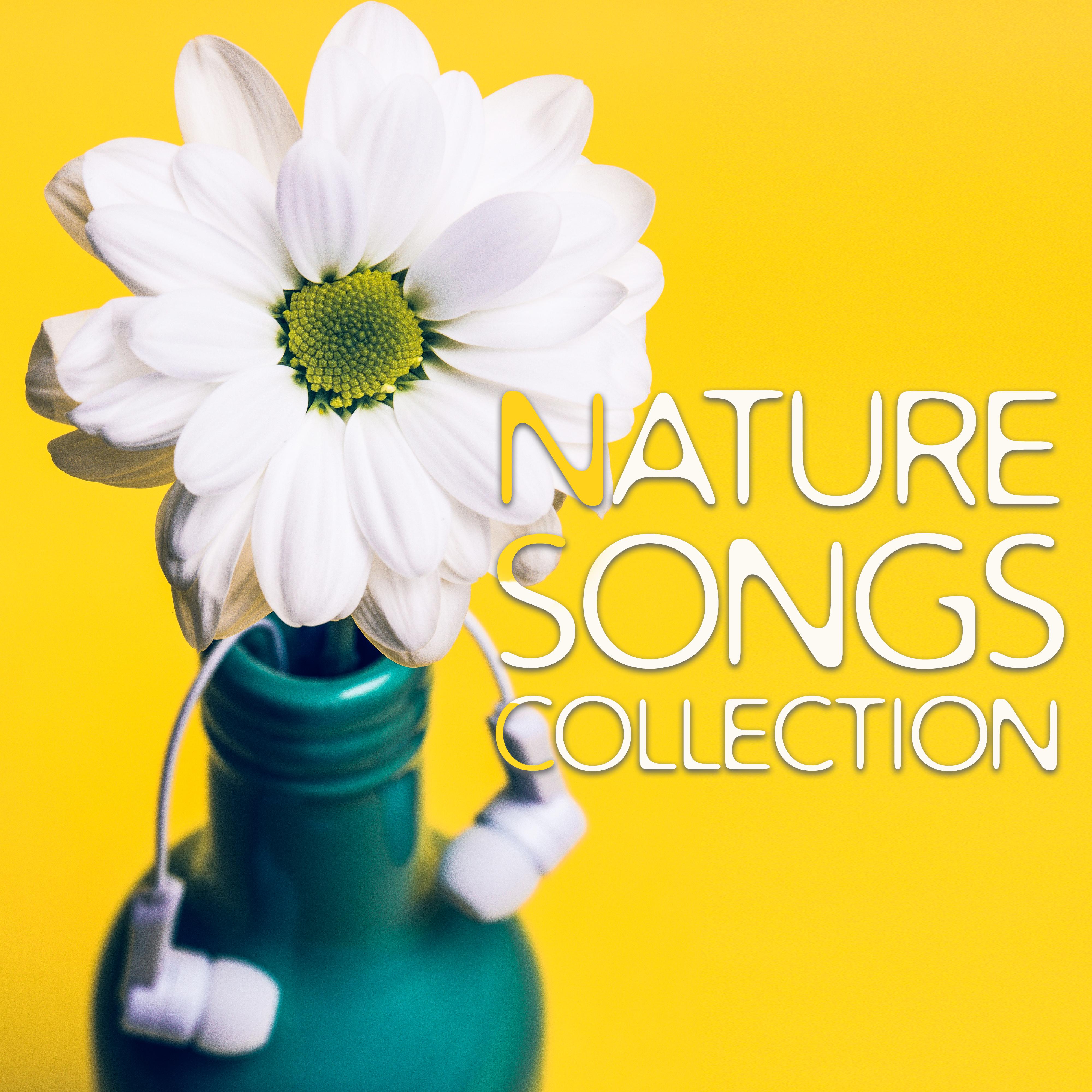 Nature Songs Collection  Relaxing Music,  Massage Therapy, Spa, Wellness, Zen, Bliss, Rest