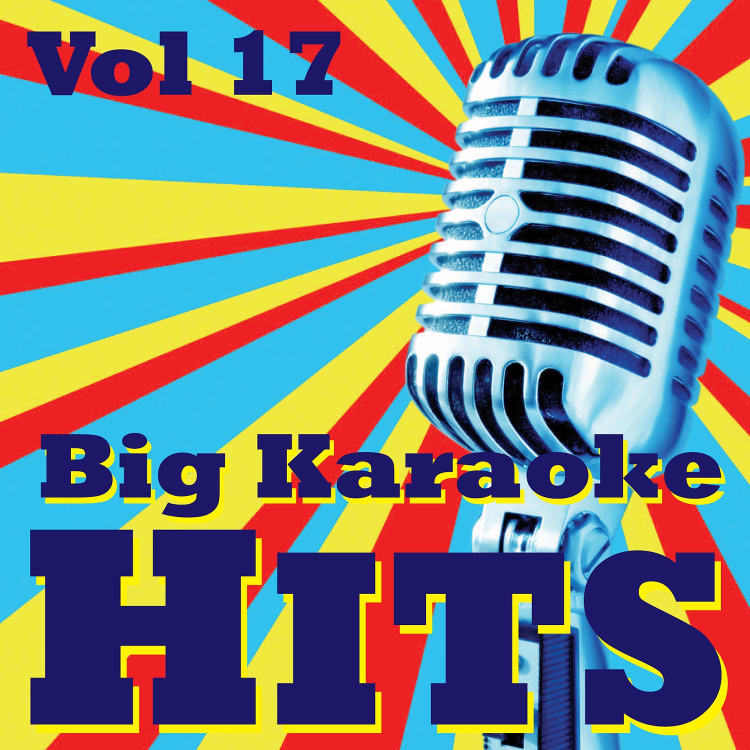 Big Karaoke Hits Vol.17