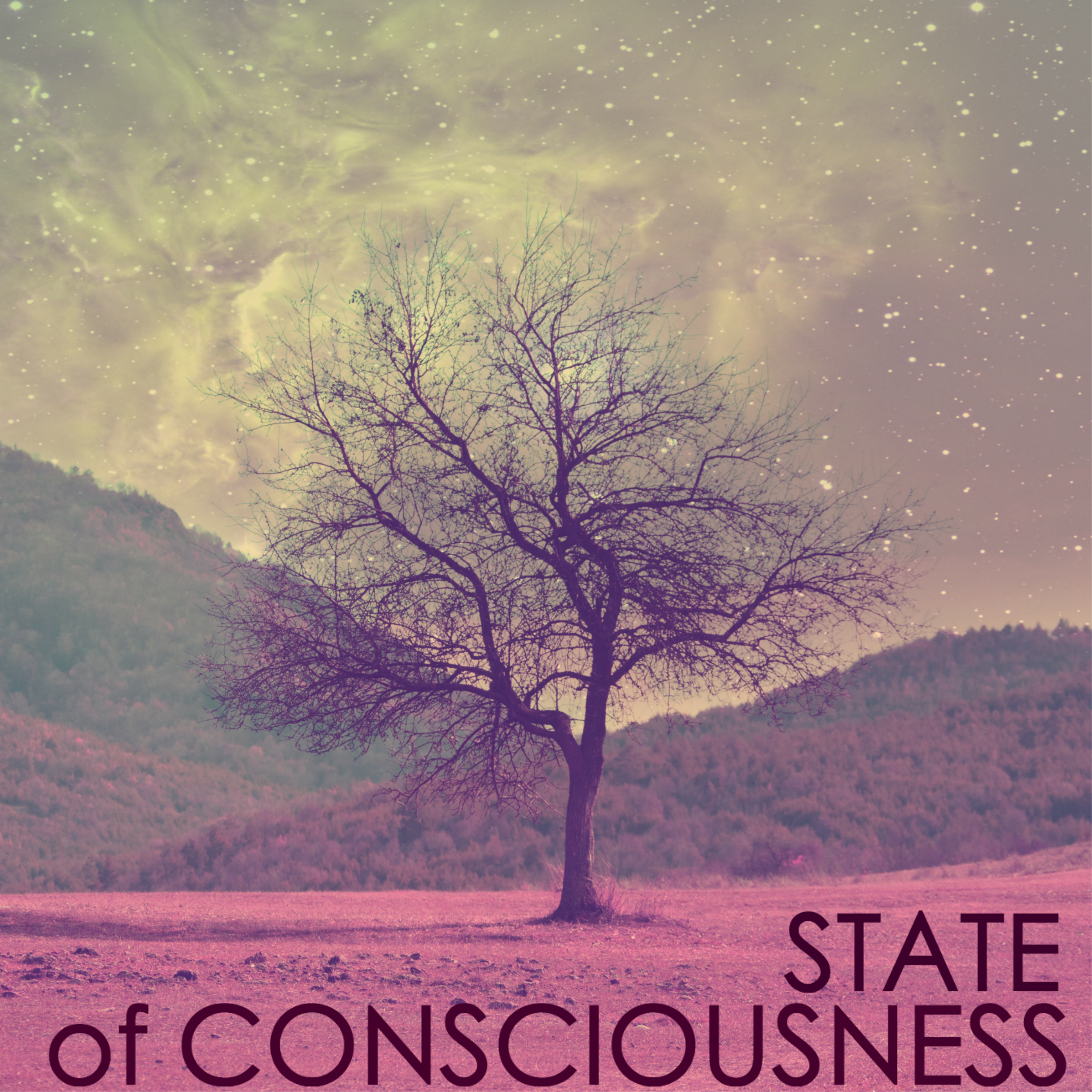 State of Consciousness - Essential Sounds for Serenity, Mind Regulation for Regeneration