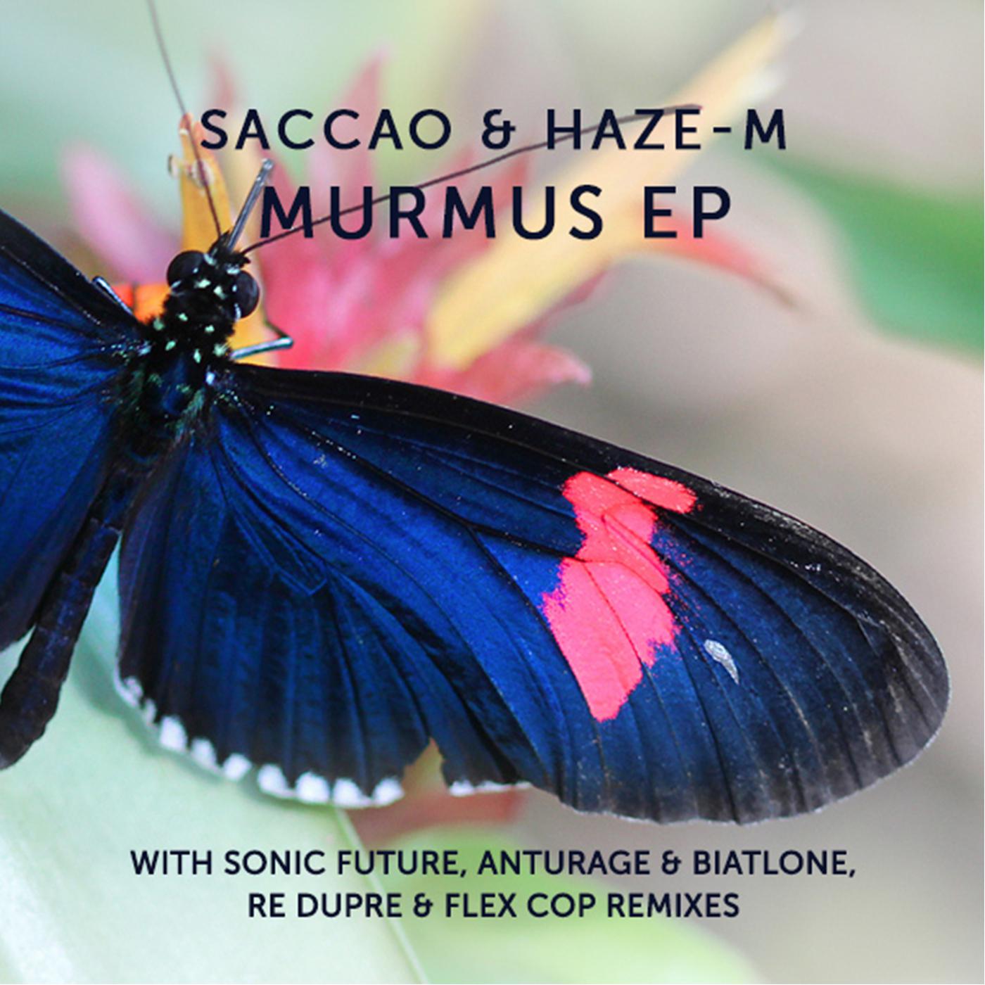 Murmus (Re Dupre Remix)