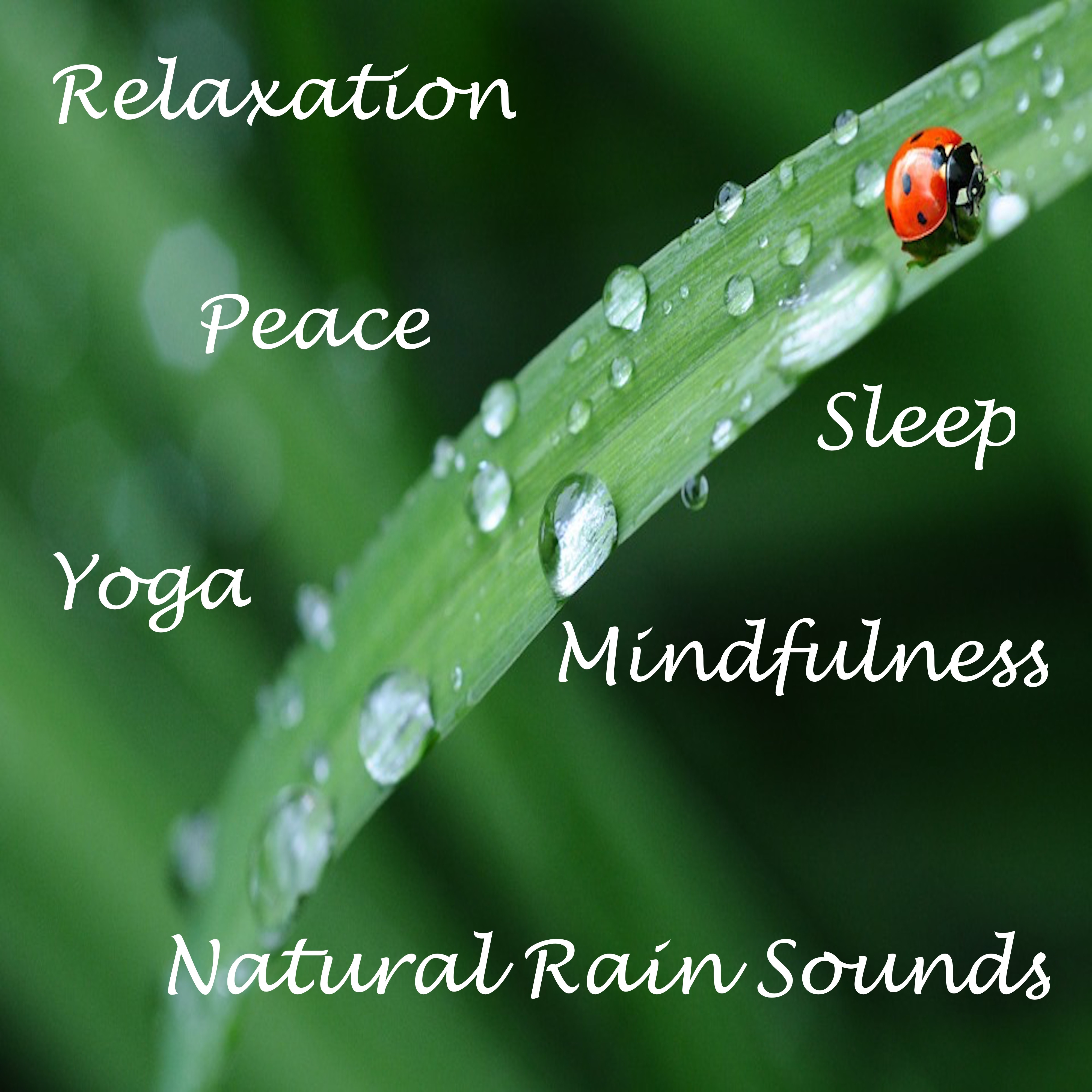 10 of the Best Natural Rain Sounds for Sleep and Wellbeing, Relaxation, Insomnia, Tinnitus and Mood Lifting