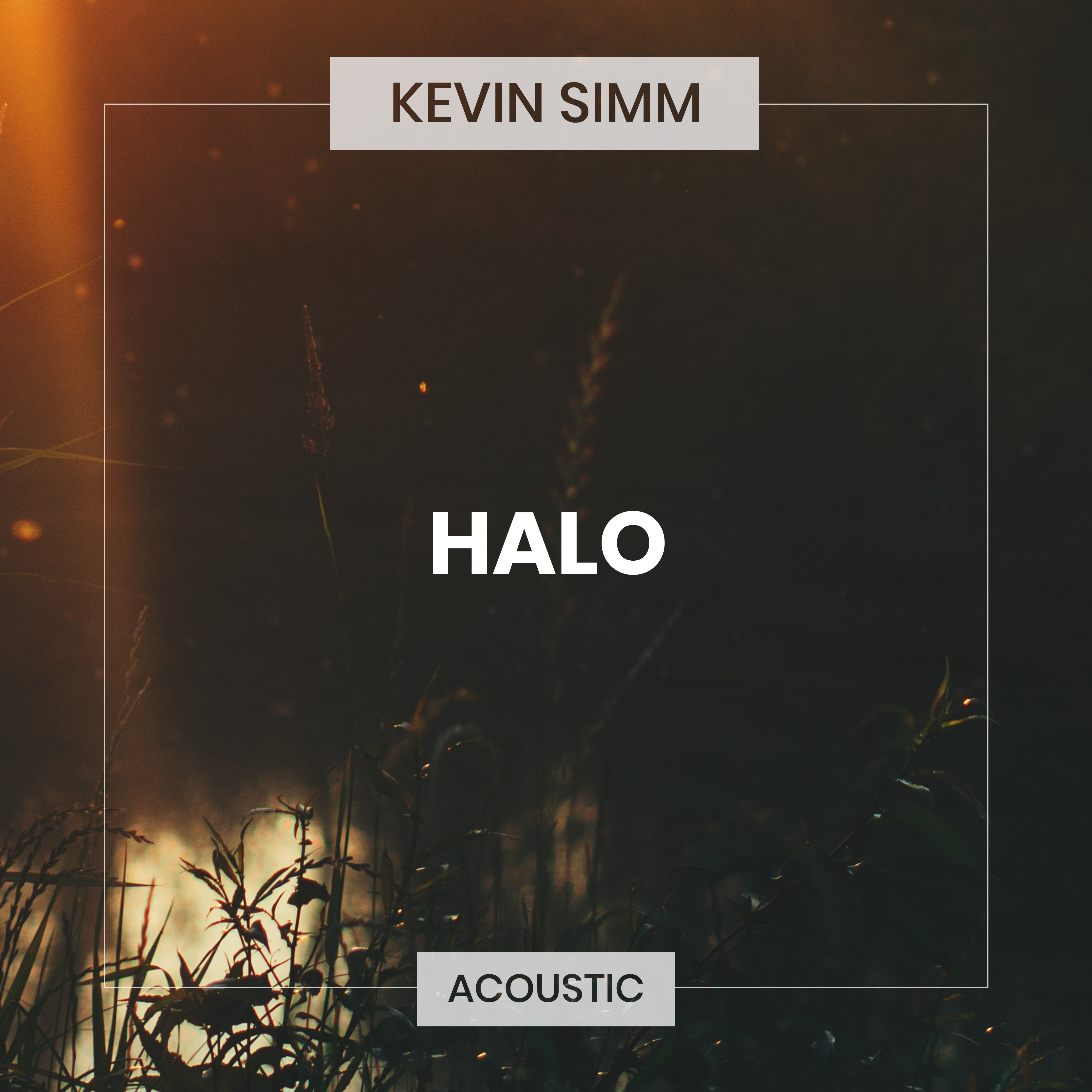 Halo (Acoustic)