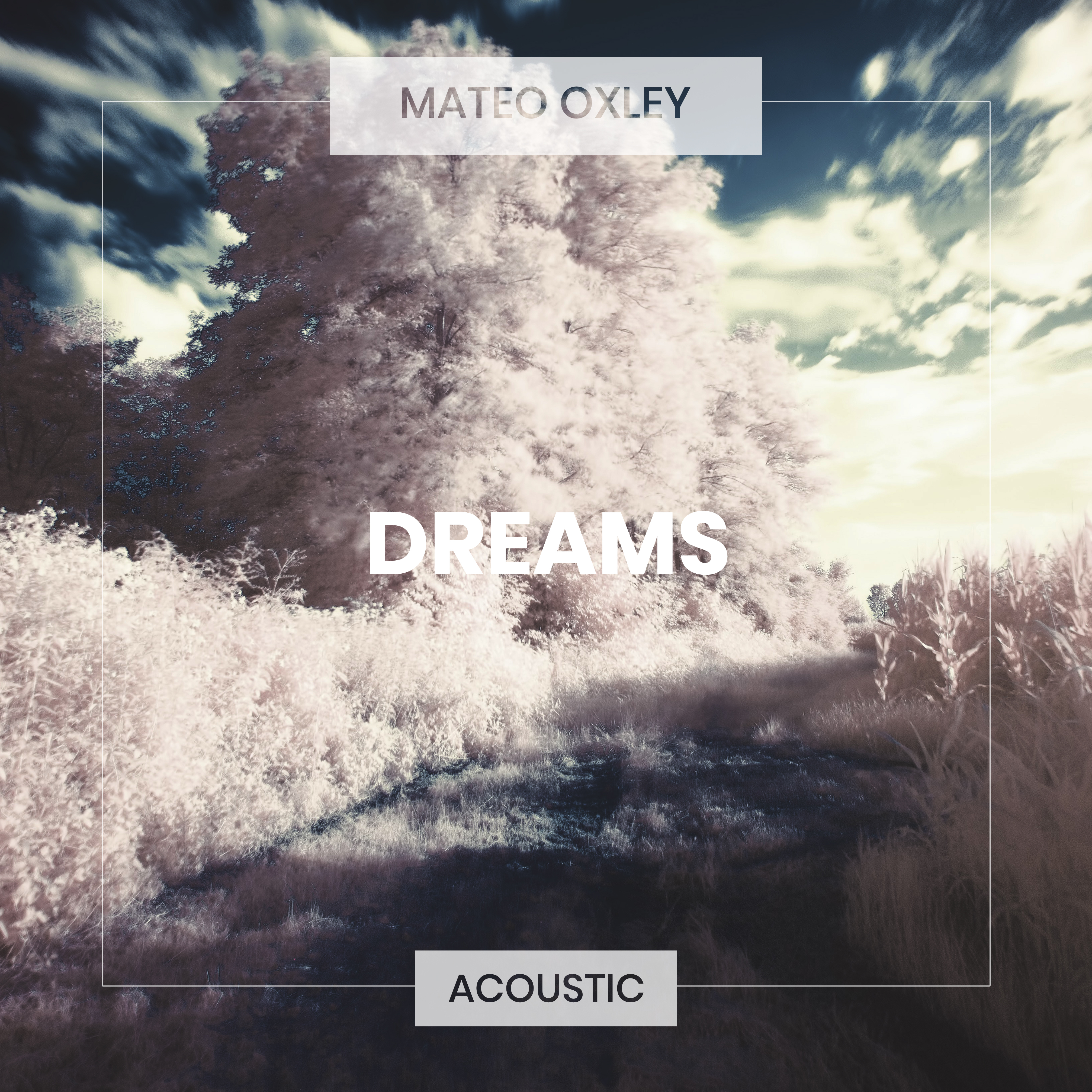 Dreams (Acoustic)