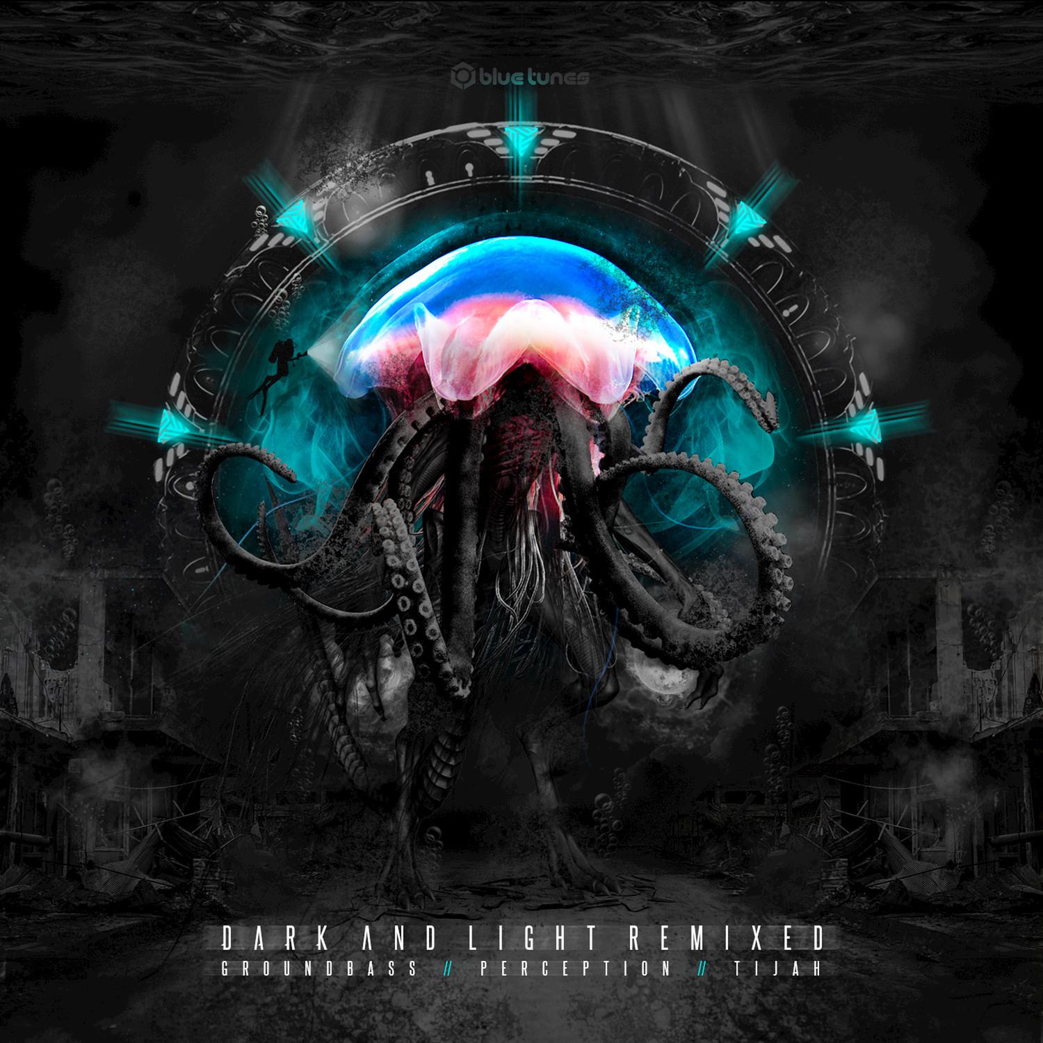 Dark & Light (Perception Remix)