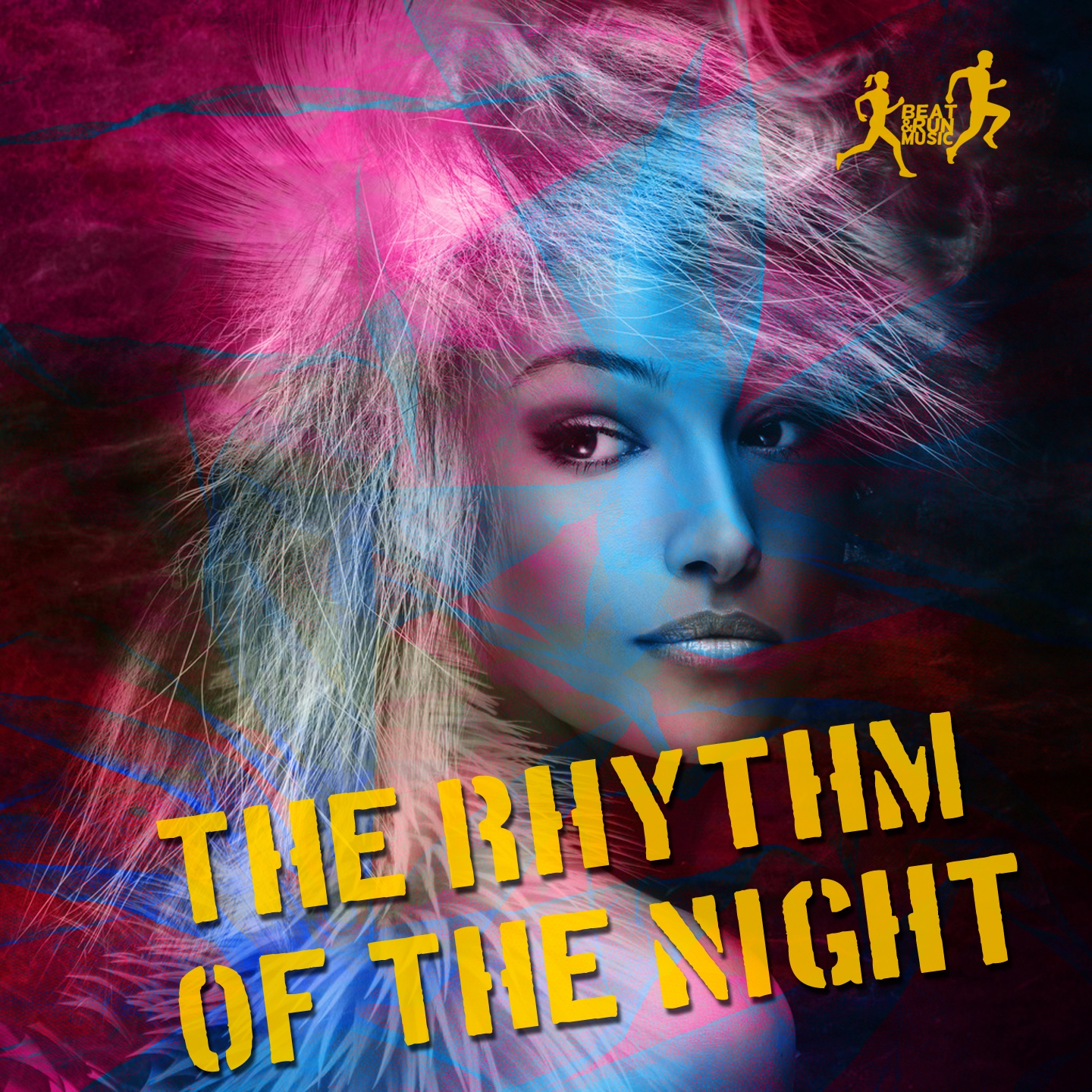 The Rhythm of the Night