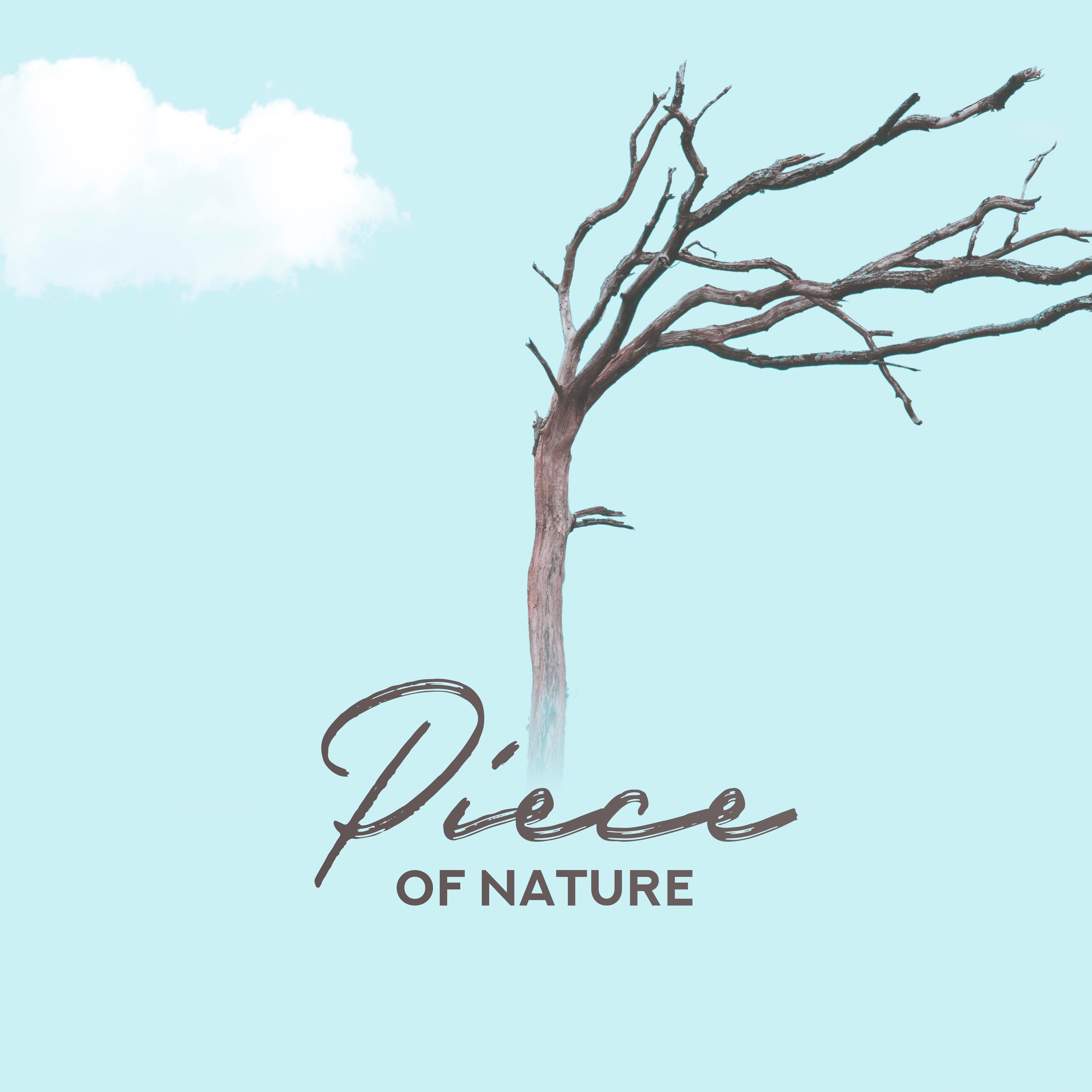 Piece of Nature  15 Nature Sounds, Nature Music for Sleep, Meditation, Yoga Training, Relaxation, Zen Lounge