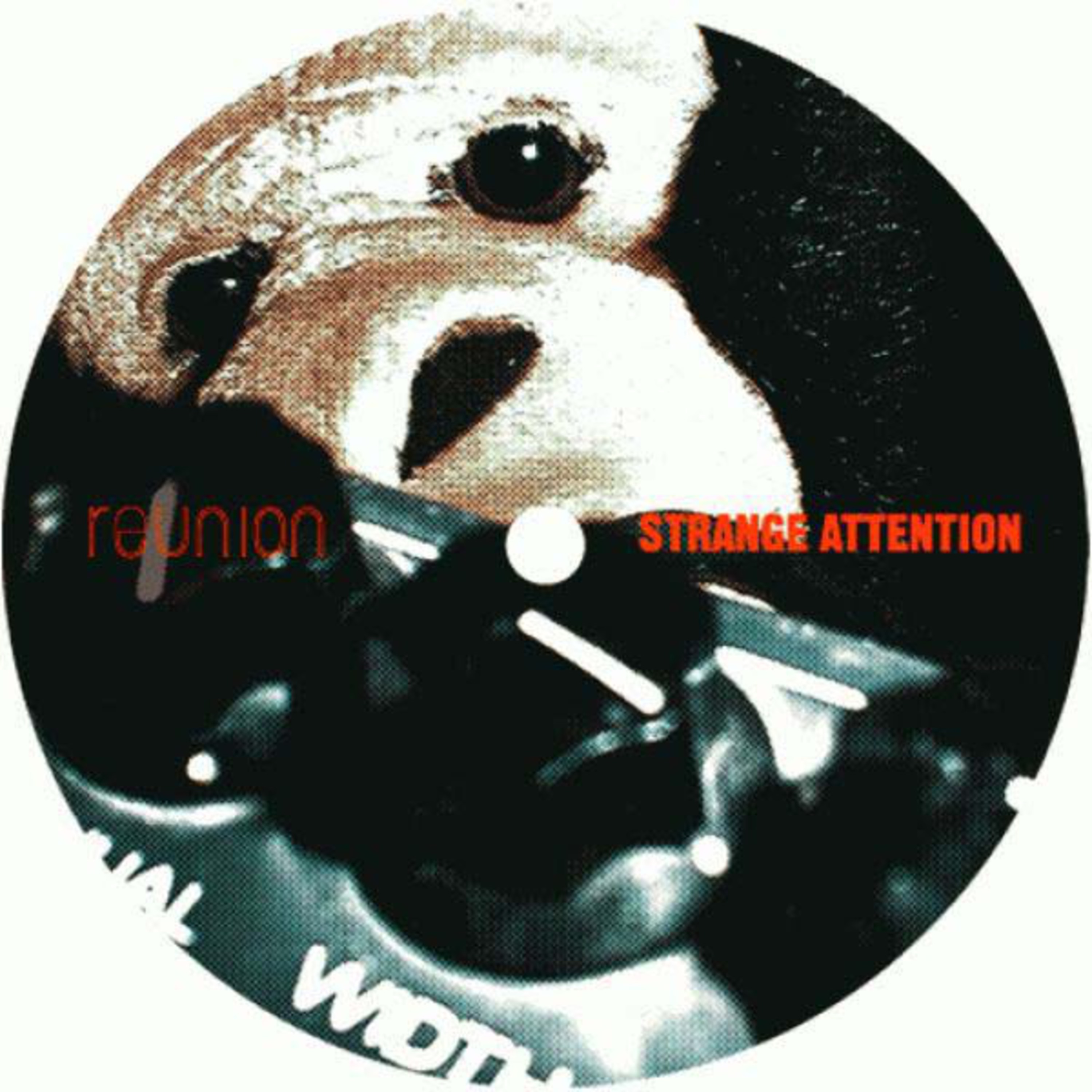 Strange Attention (Seiji Instrumental Remix)