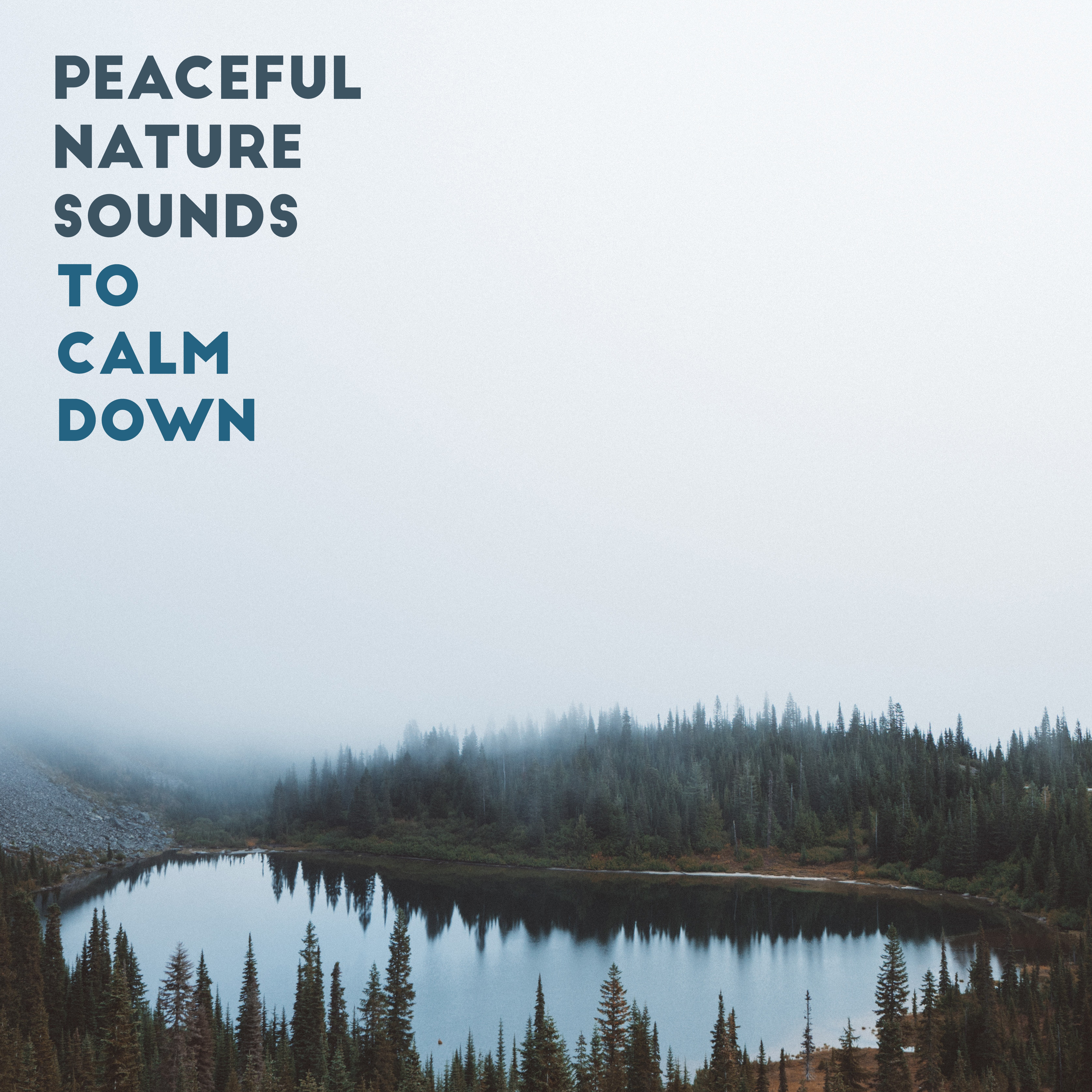 Peaceful Nature Sounds to Calm Down