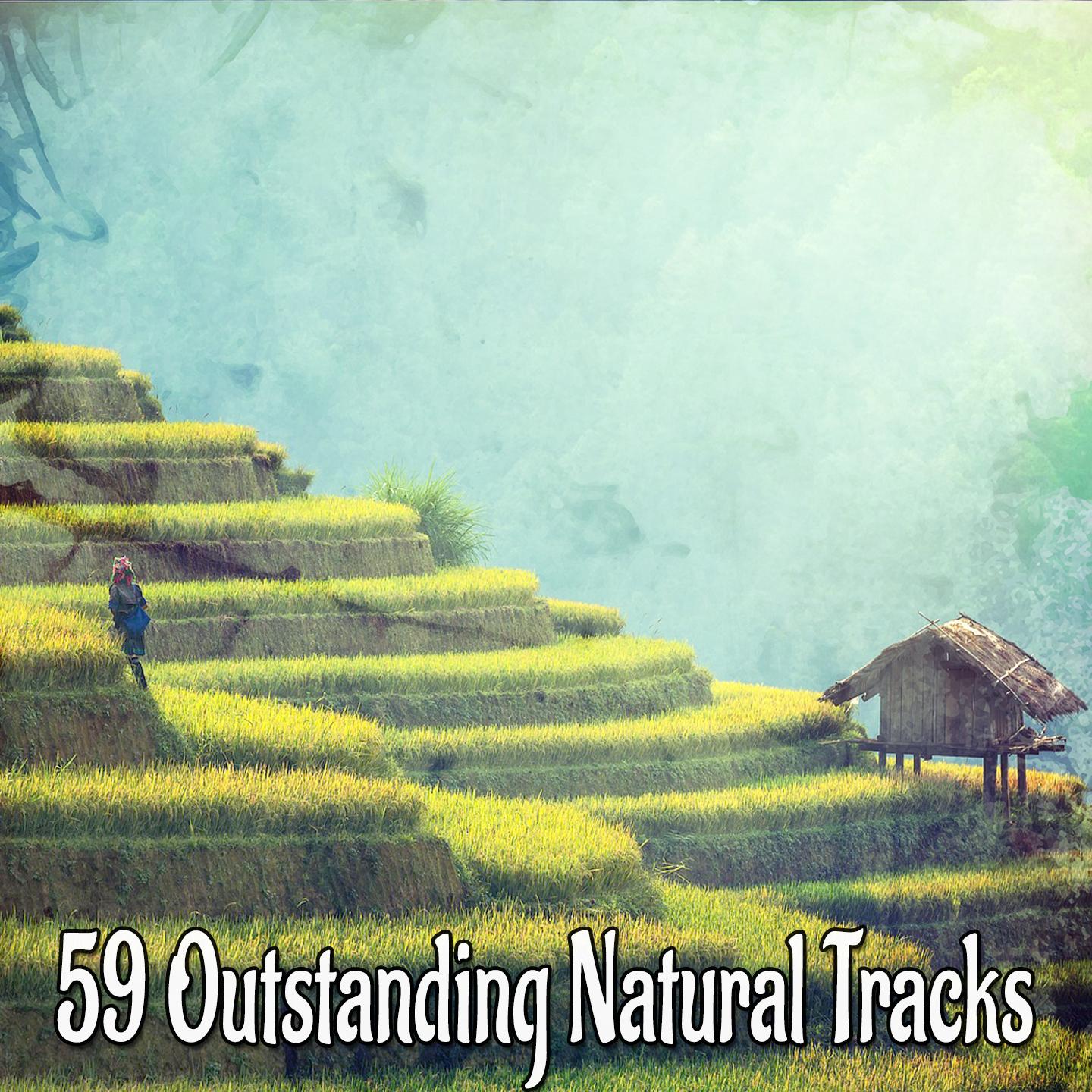 59 Outstanding Natural Tracks