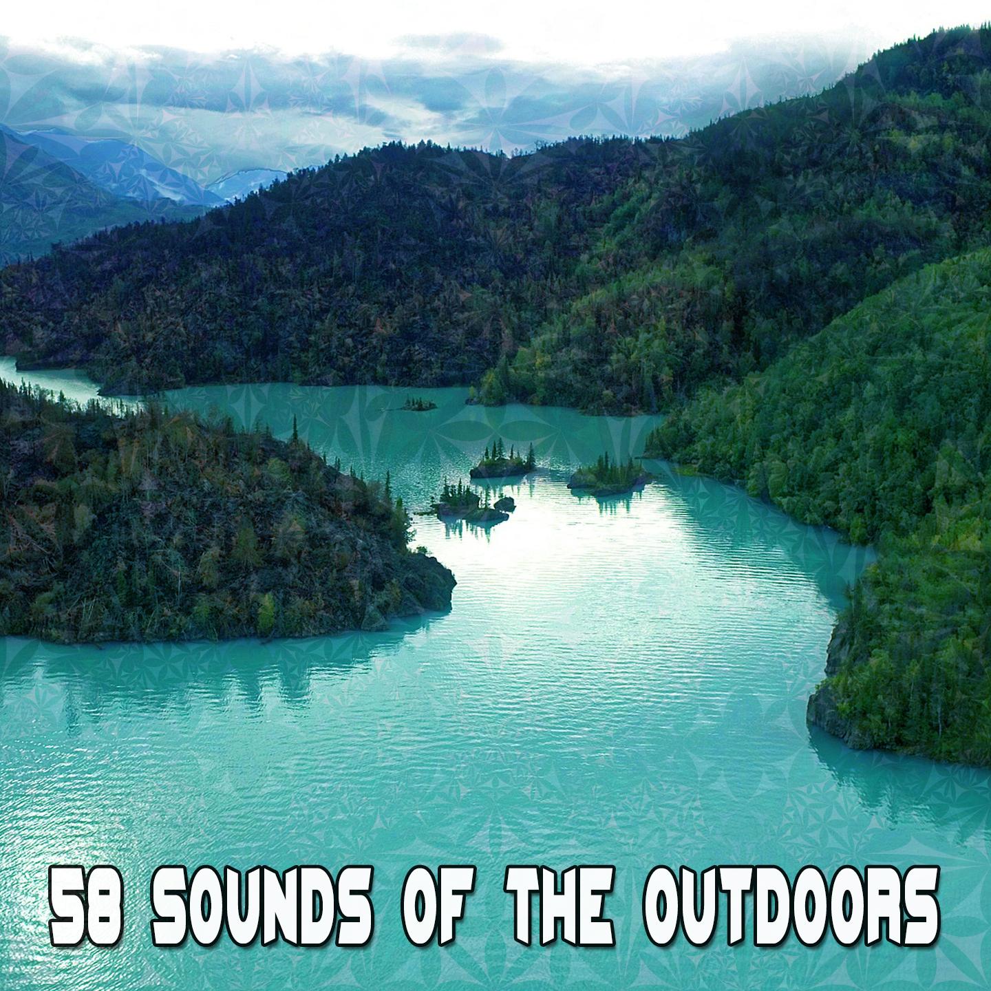 58 Sounds Of The Outdoors