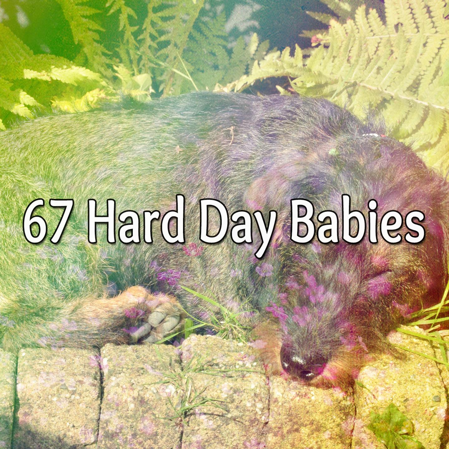 67 Hard Day Babies