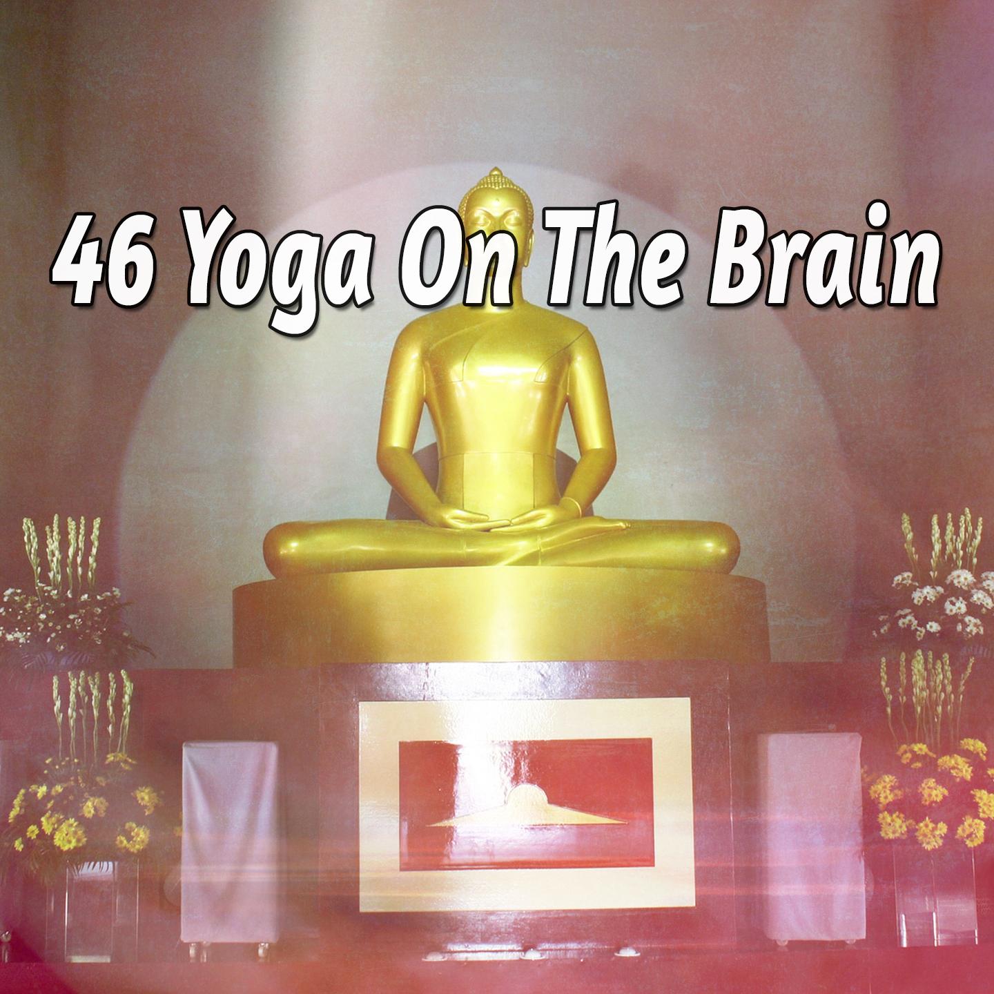 46 Yoga On The Brain