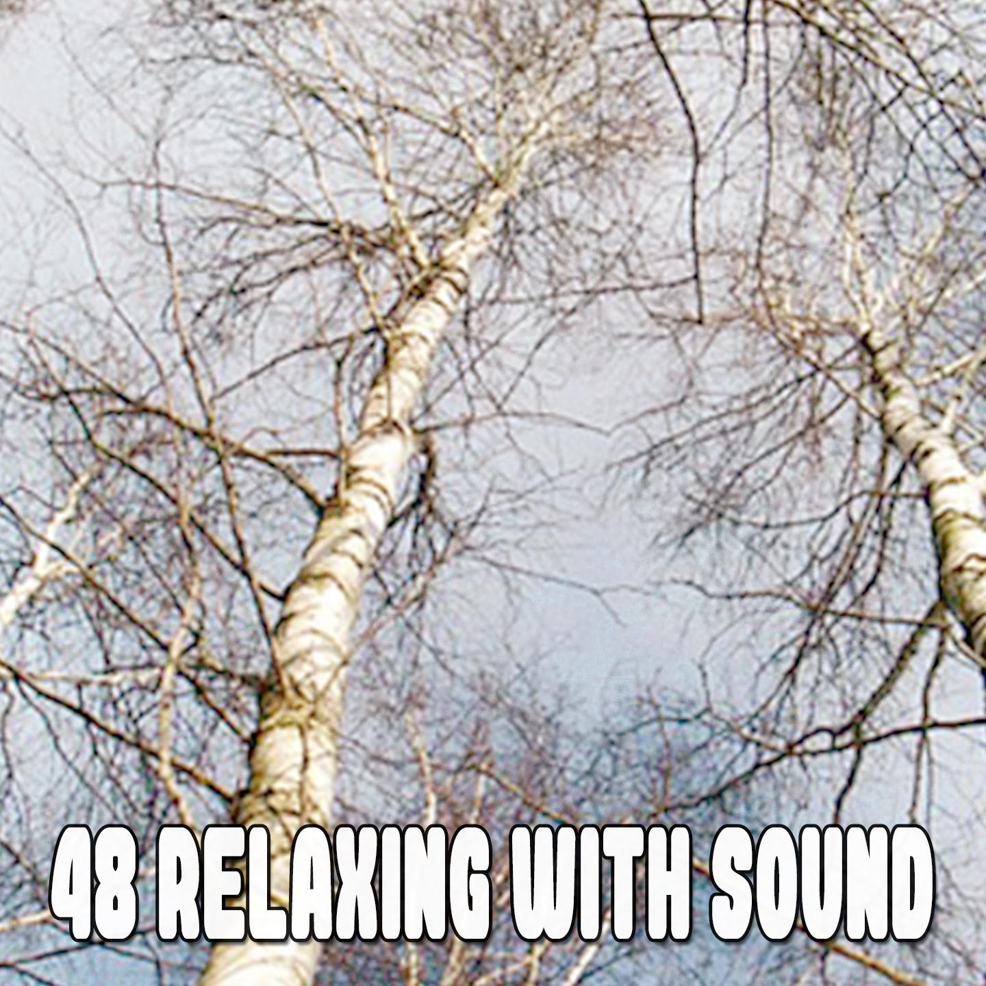 48 Relaxing With Sound