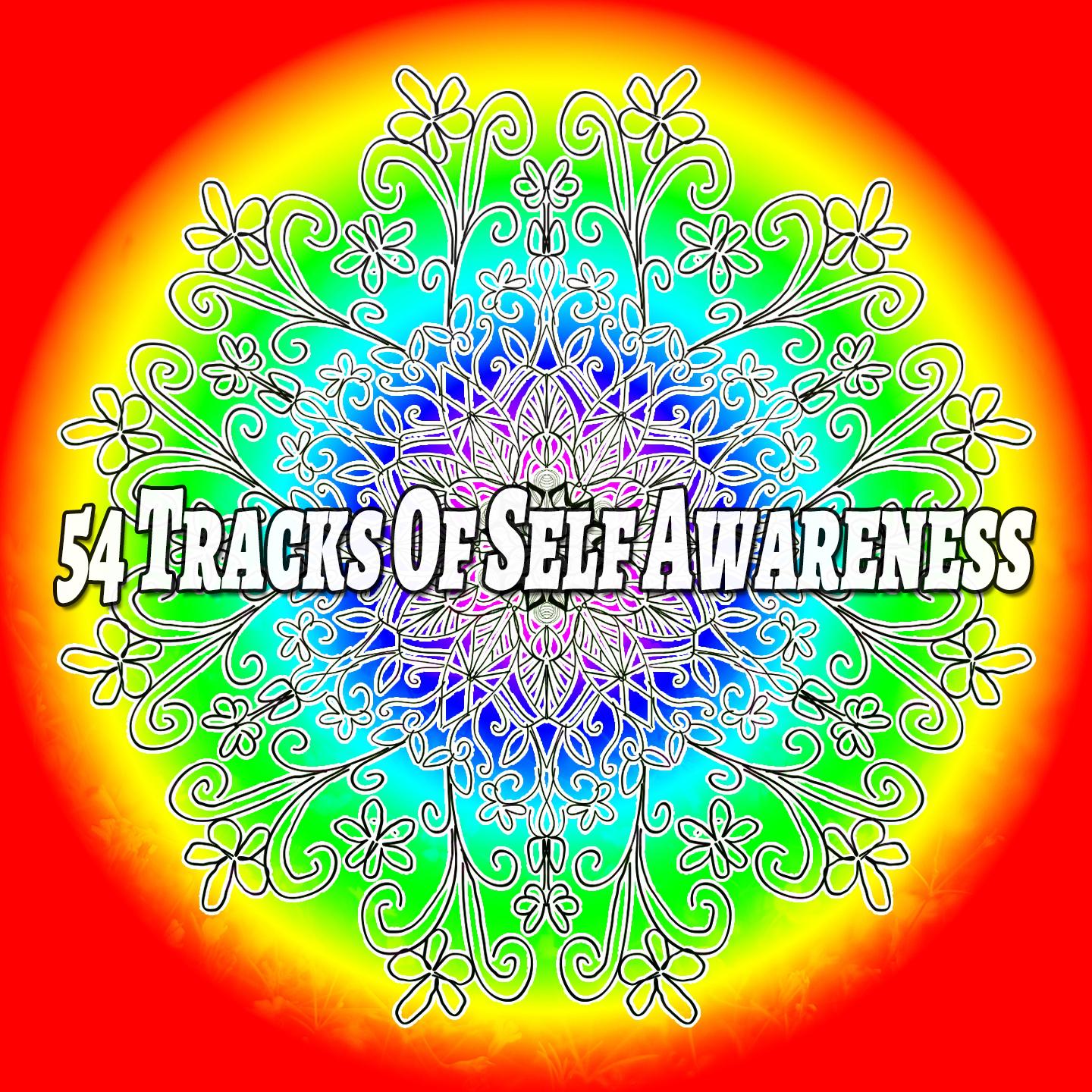 54 Tracks Of Self Awareness