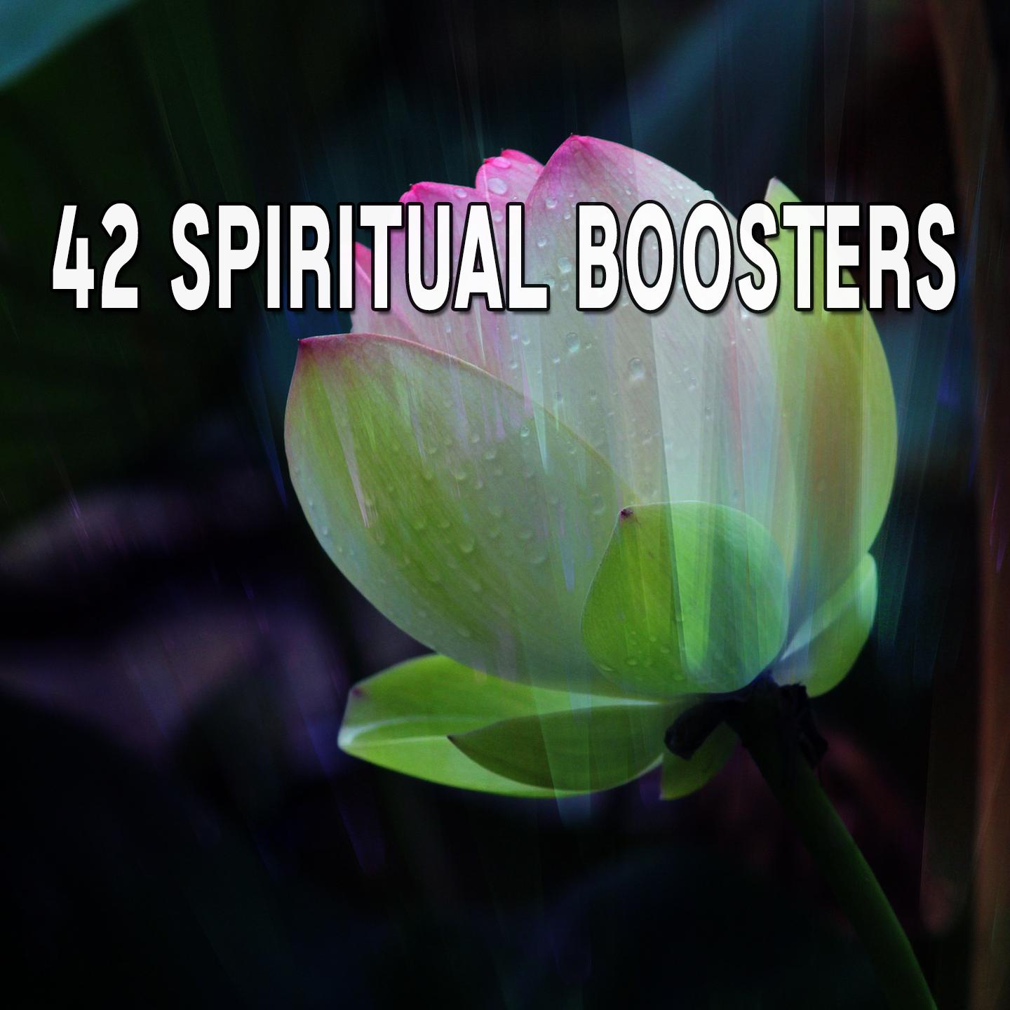 42 Spiritual Boosters