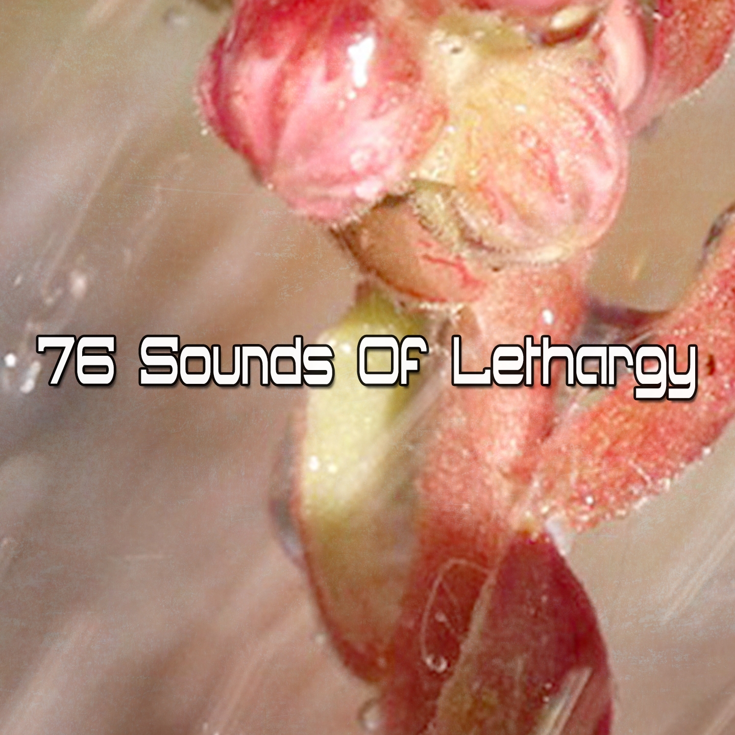 76 Sounds Of Lethargy