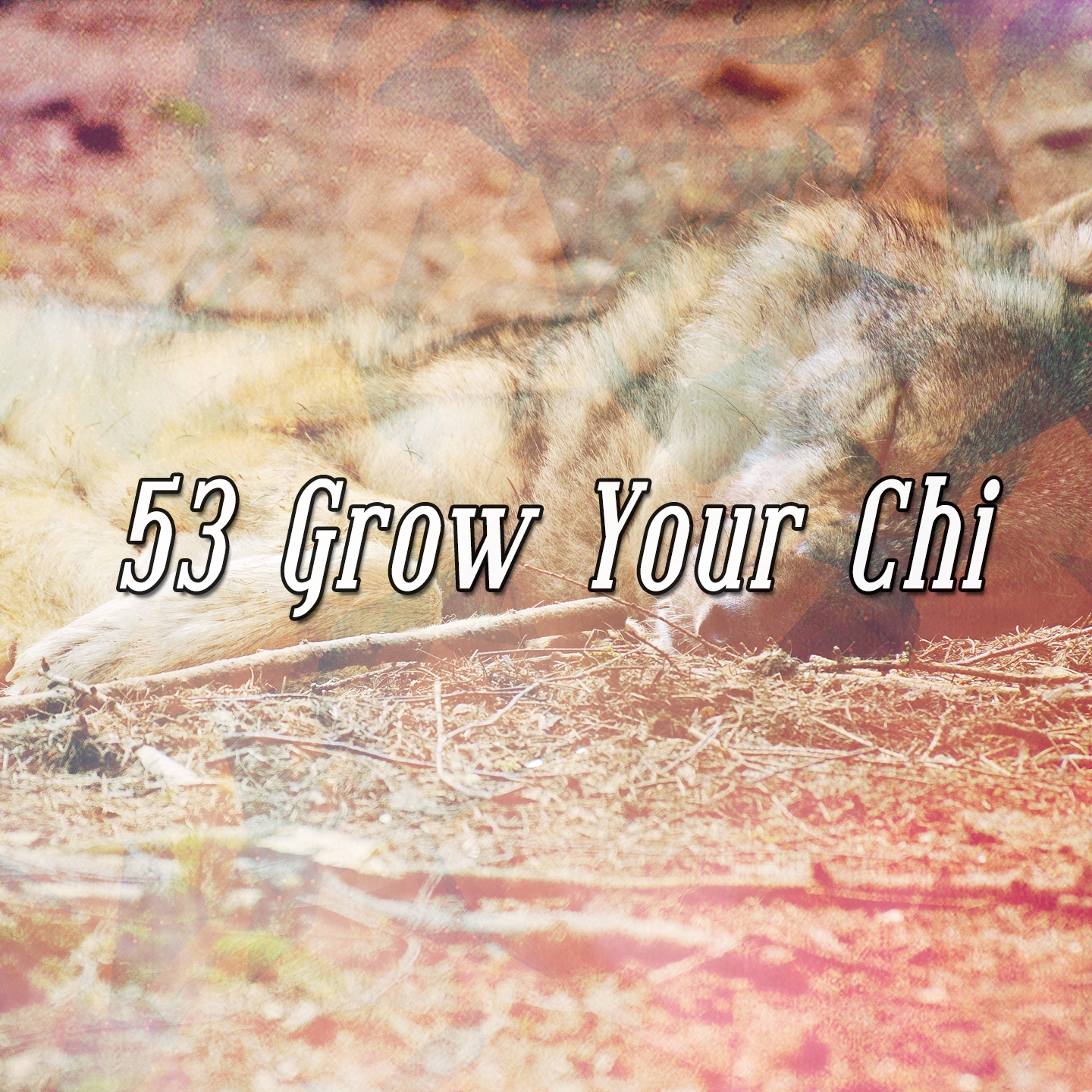 53 Grow Your Chi