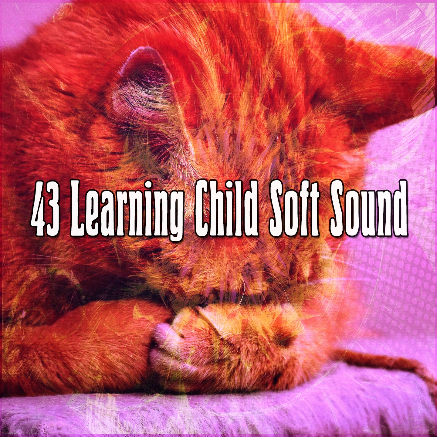 43 Learning Child Soft Sound