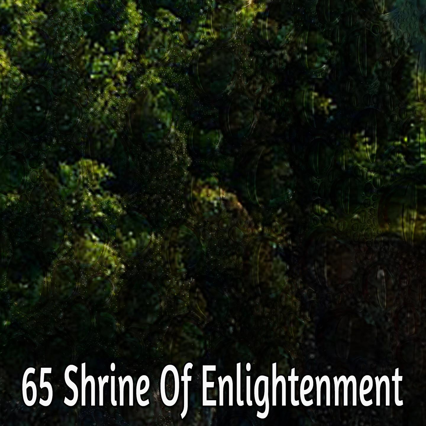 65 Shrine Of Enlightenment