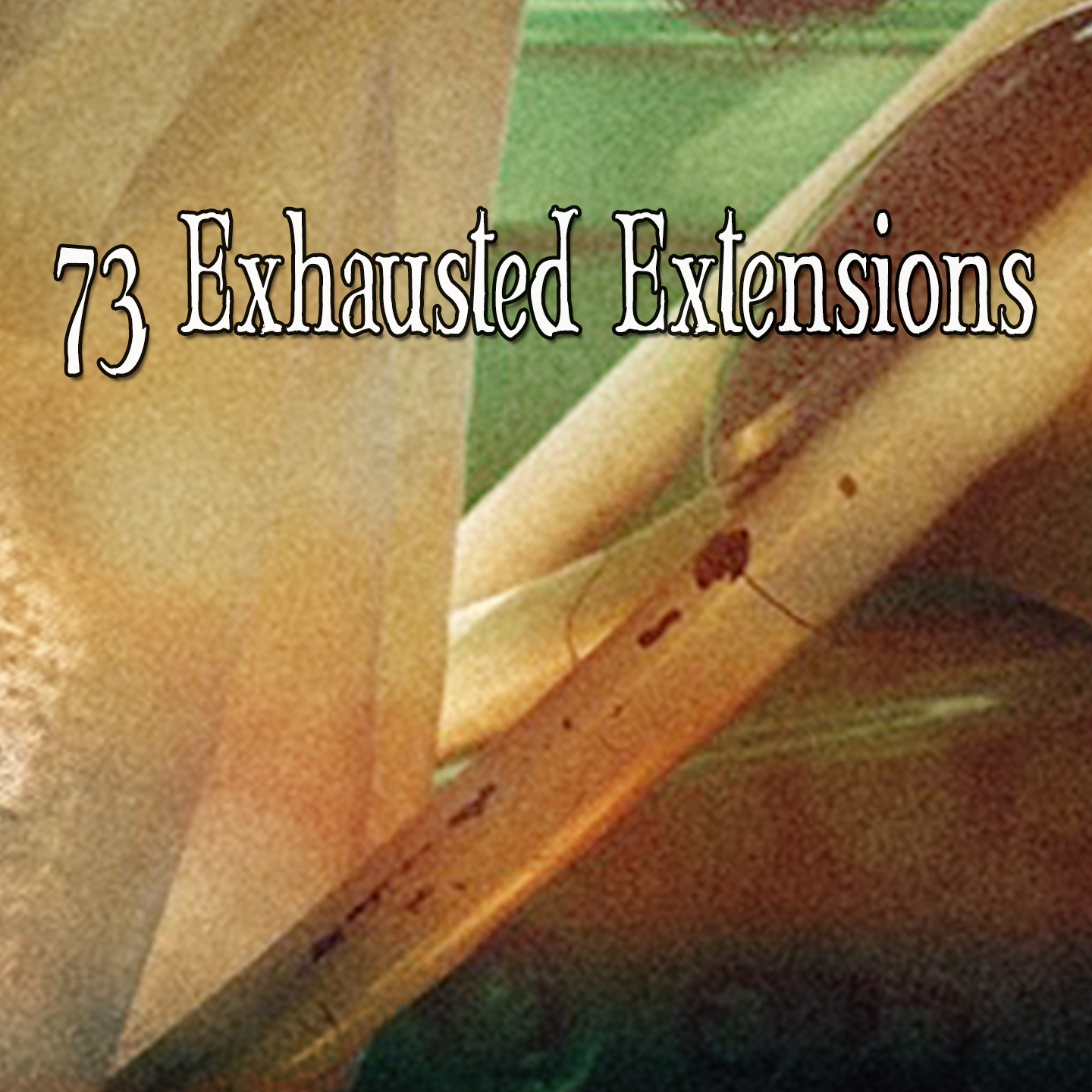 73 Exhausted Extensions