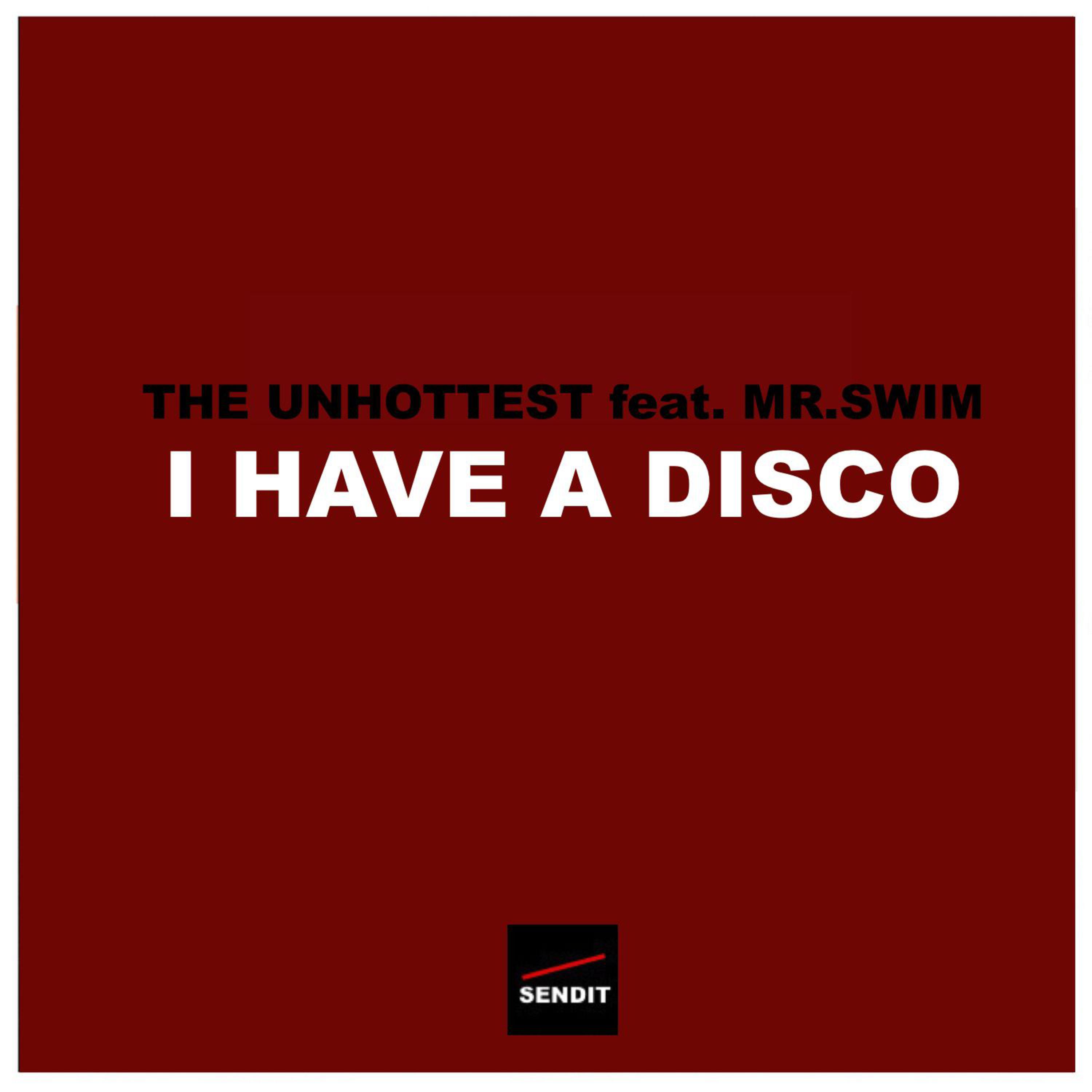 I Have a Disco (feat. Mr.Swim)