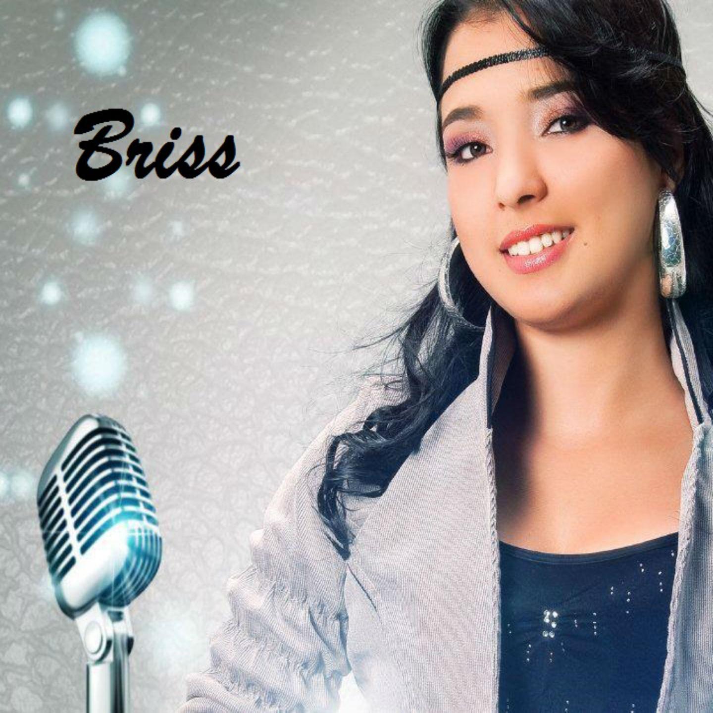 Briss